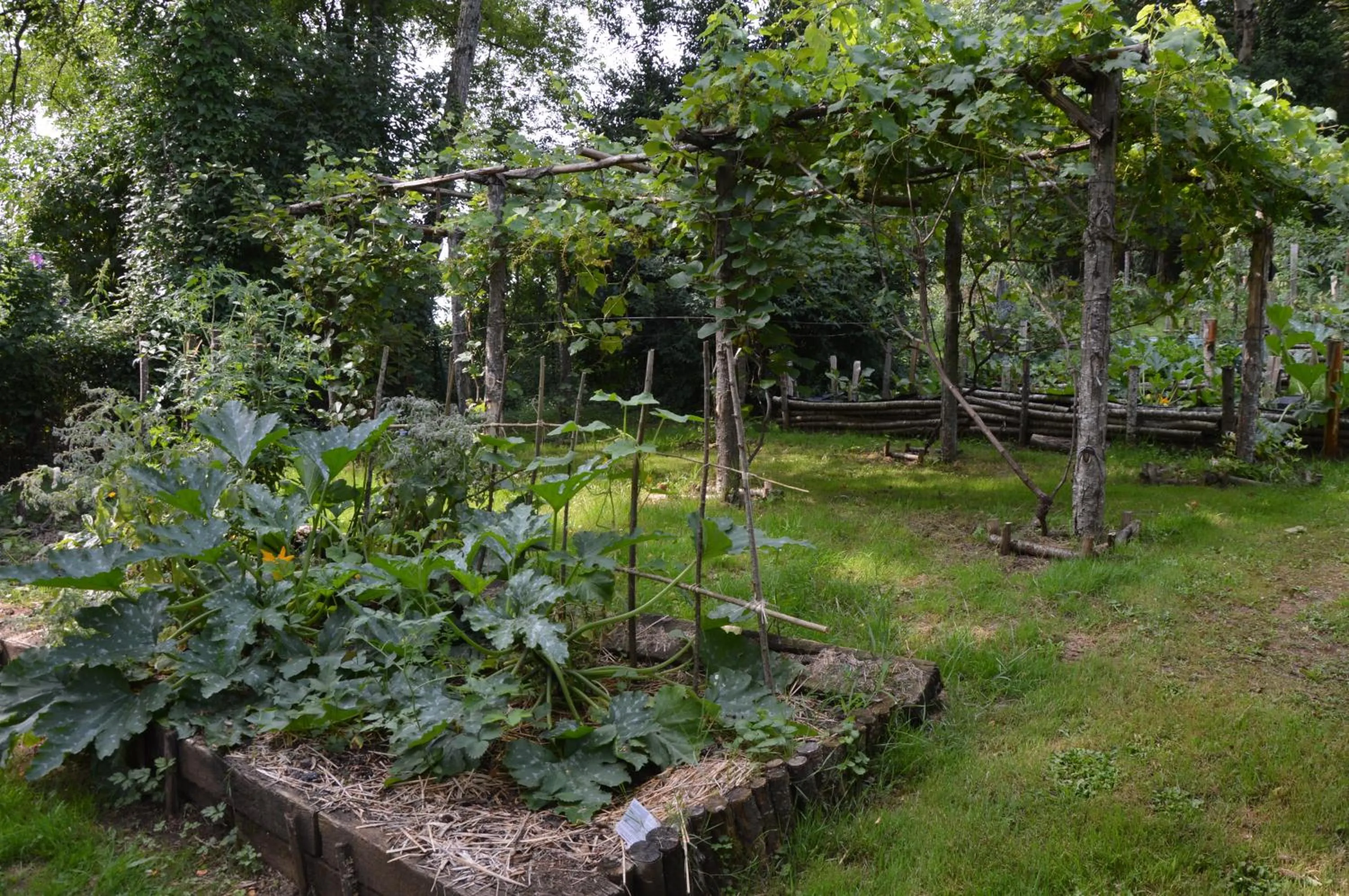 Garden in Les Deux Tours