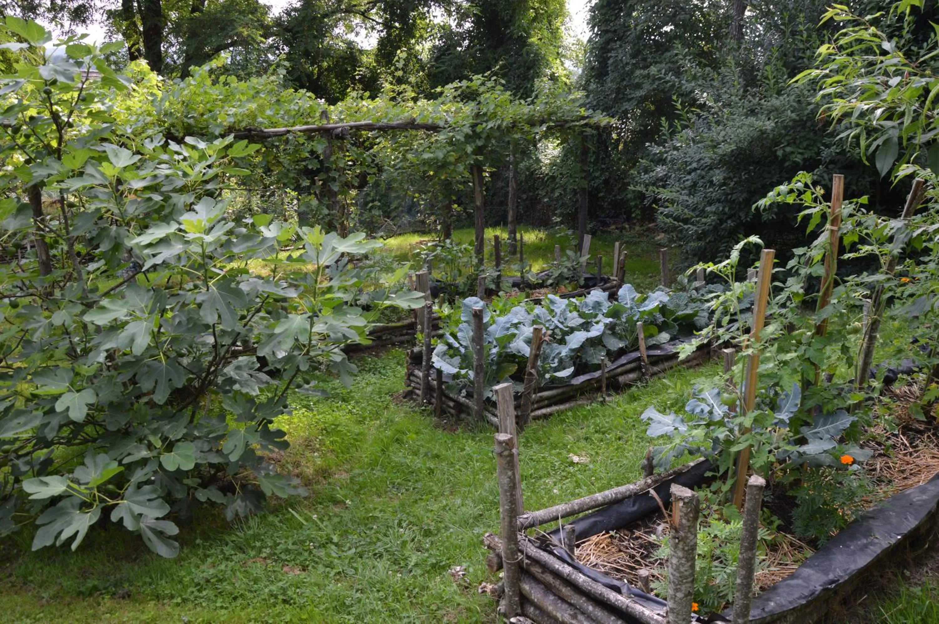 Garden in Les Deux Tours