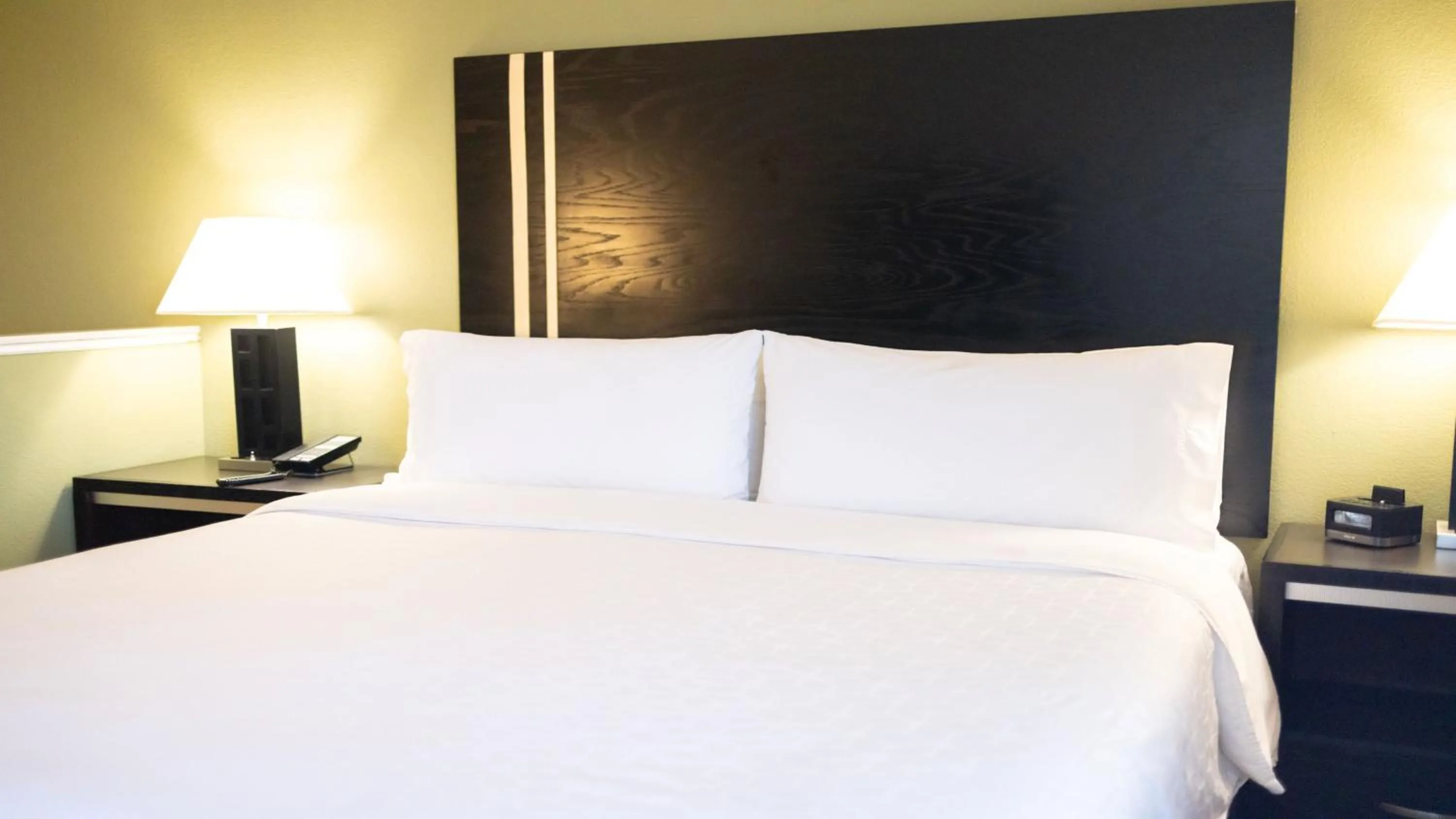 Bedroom, Bed in Holiday Inn Express Berkeley by IHG