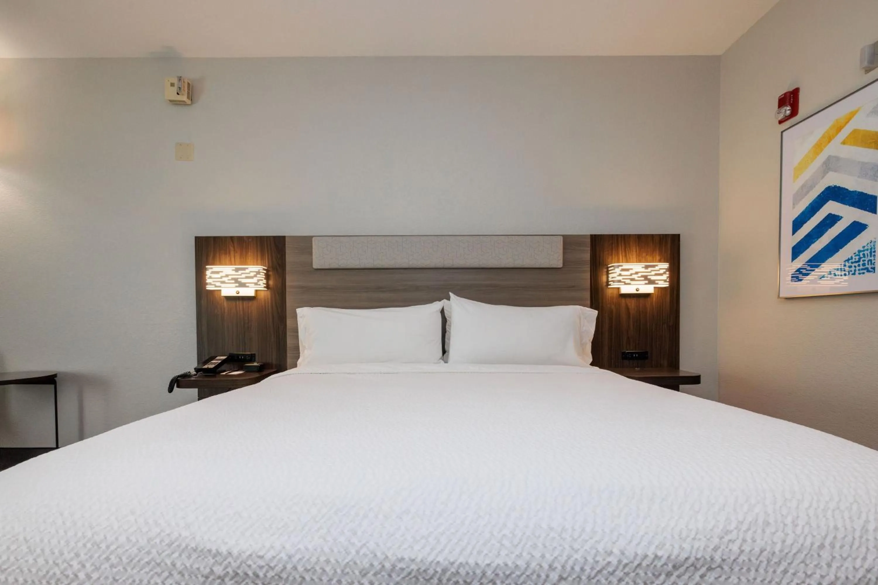 Photo of the whole room, Bed in Holiday Inn Express Berkeley by IHG