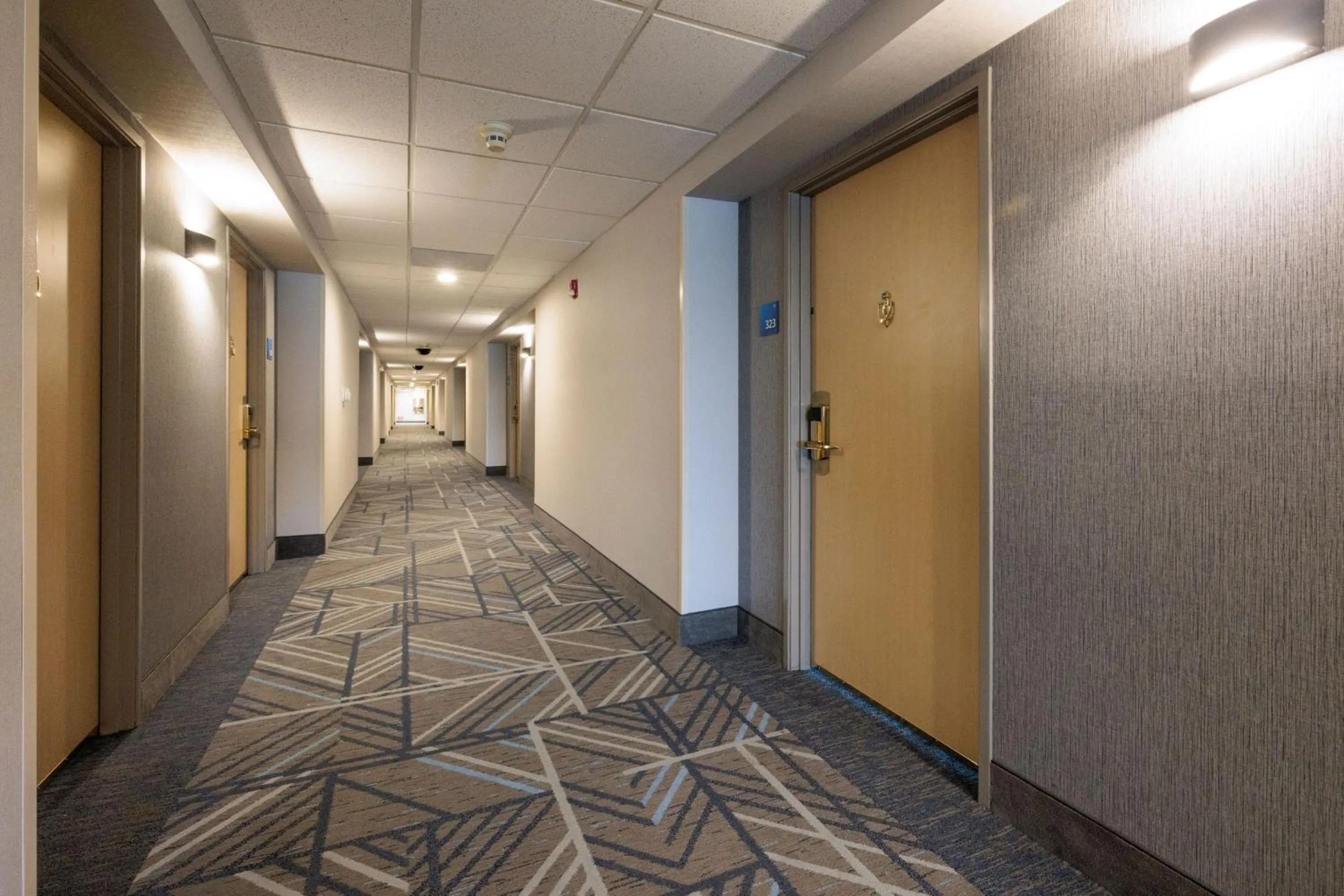 Lobby or reception in Holiday Inn Express Berkeley by IHG