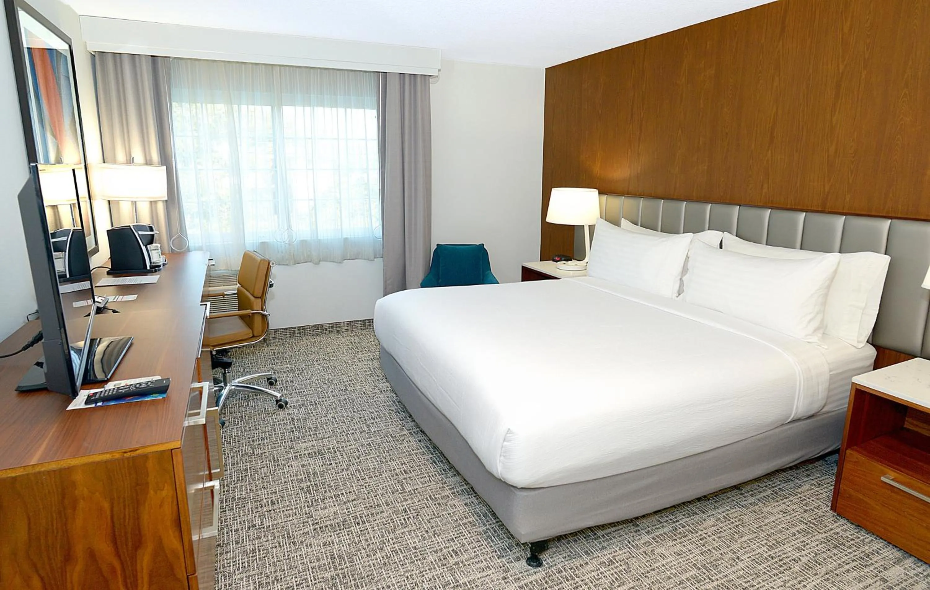 Photo of the whole room, Bed in Holiday Inn & Suites San Mateo - SFO by IHG