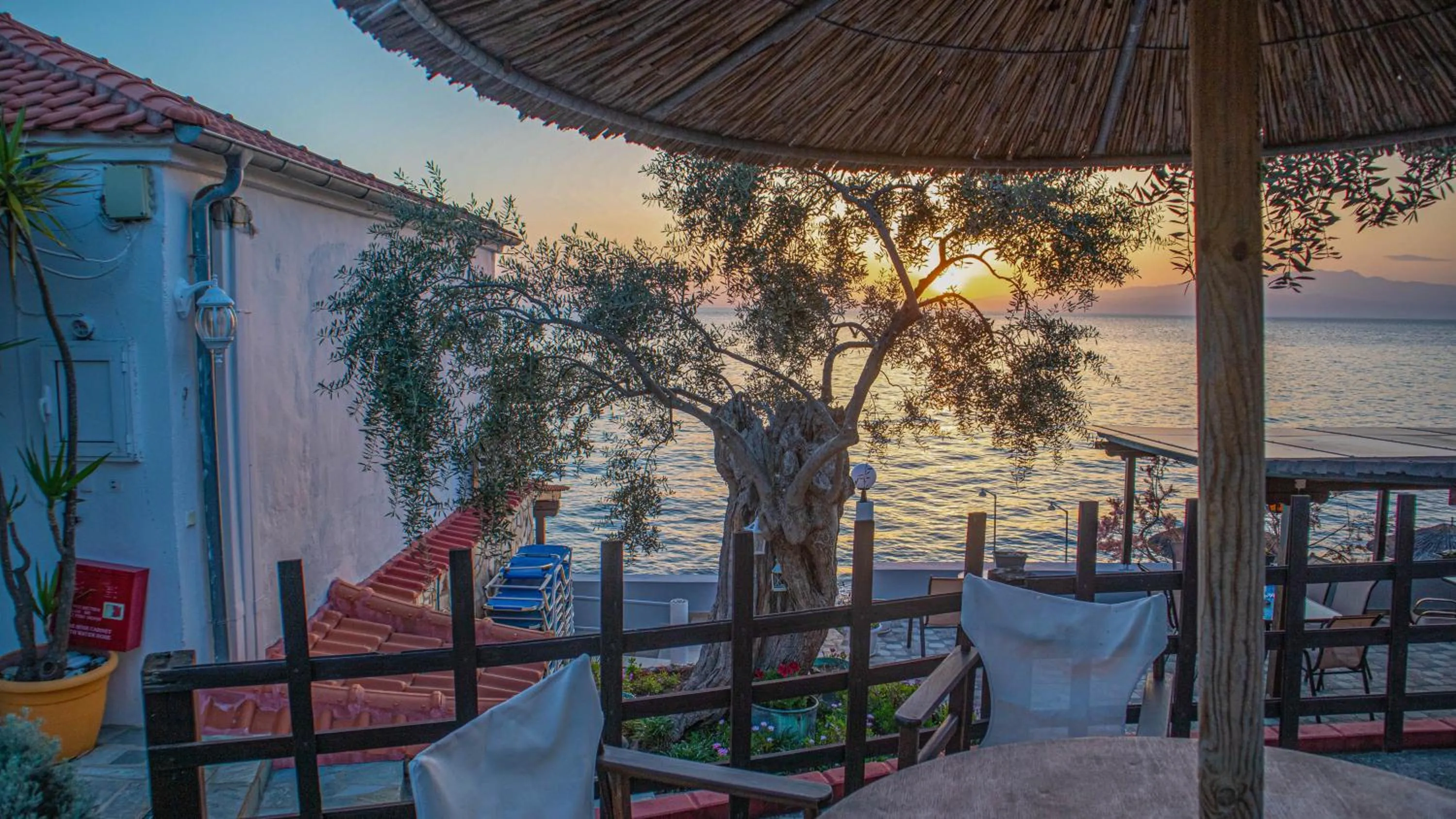 Patio in Studios Plaka