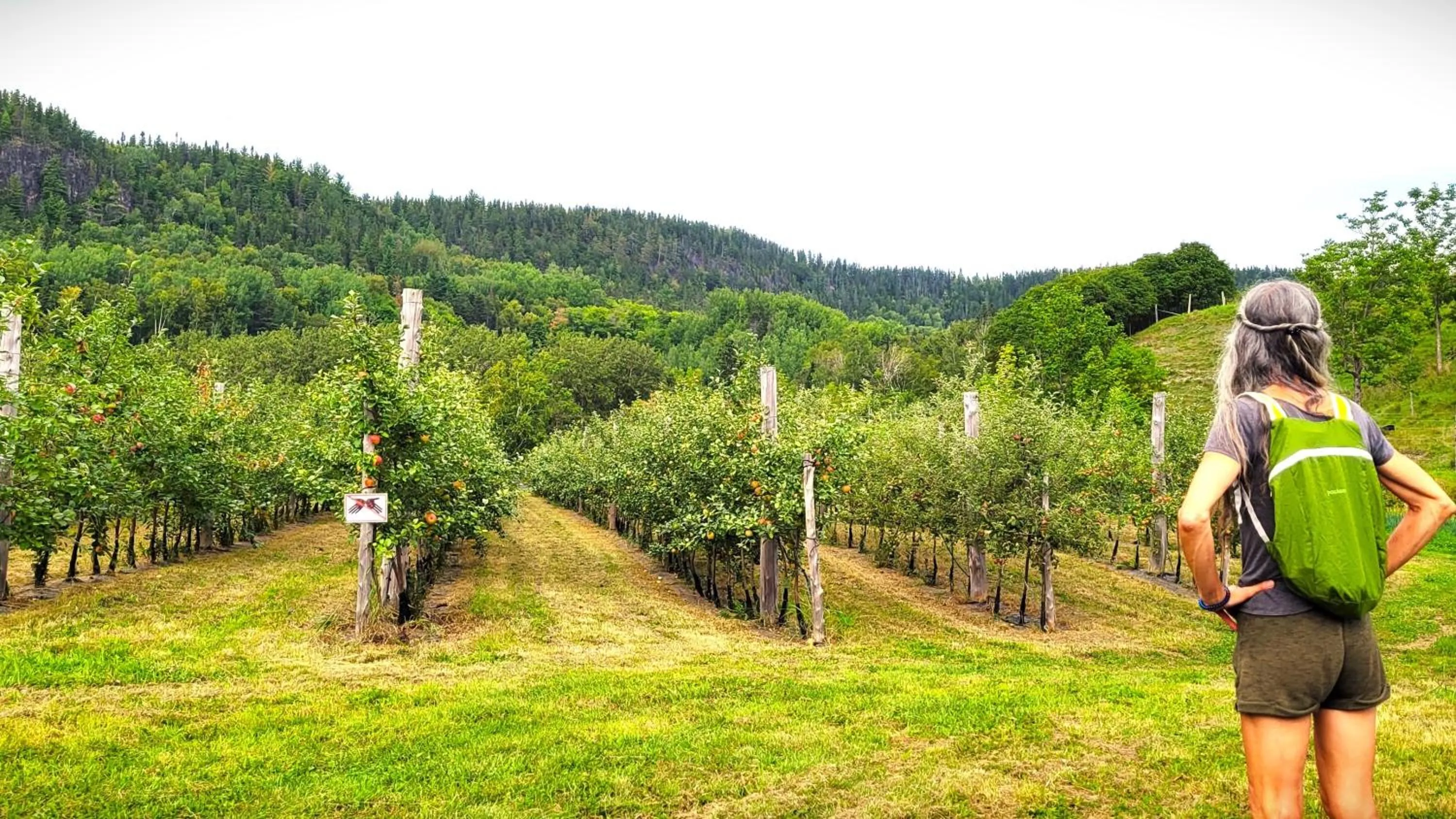 View (from property/room) in La vieille ferme, Écogîte