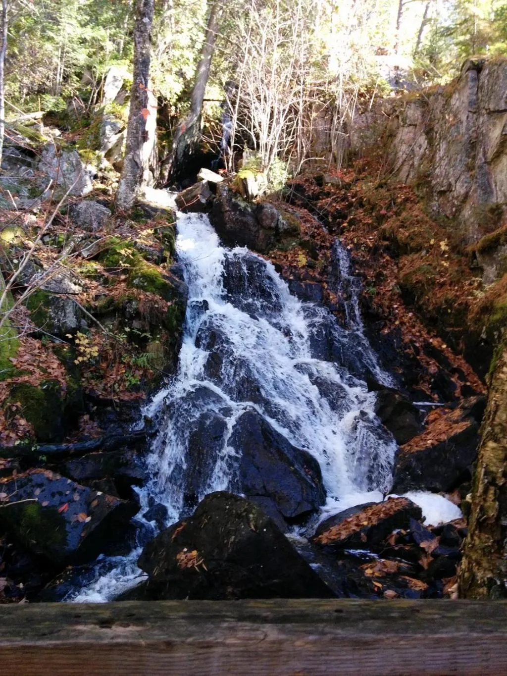 River view in La vieille ferme, Écogîte
