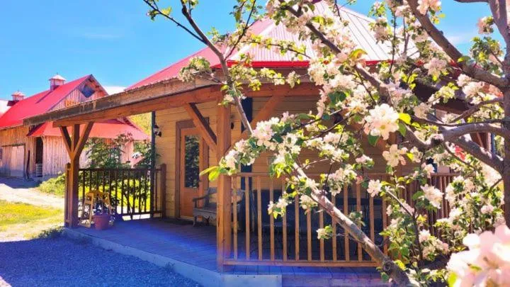 Balcony/Terrace in La vieille ferme, Écogîte