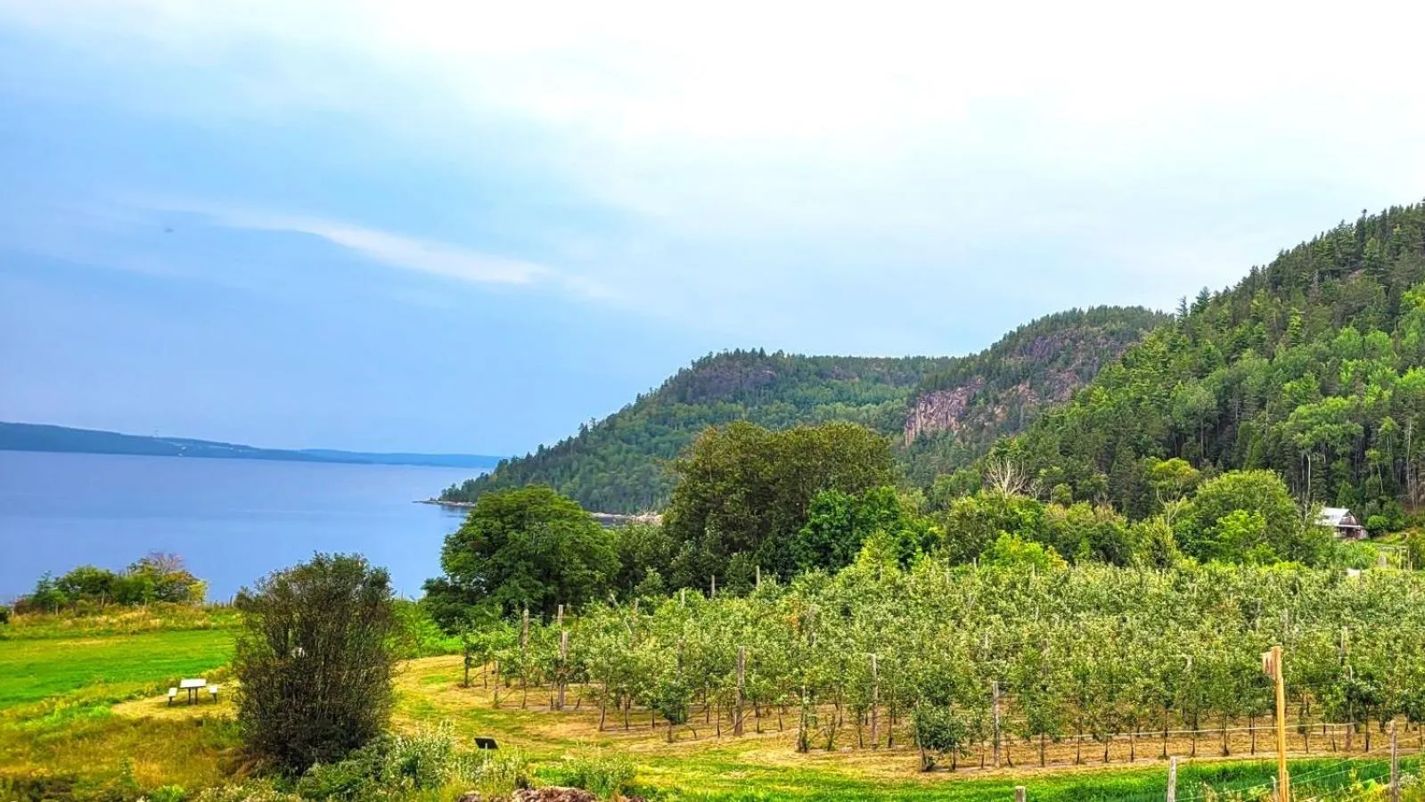 Landmark view in La vieille ferme, Écogîte