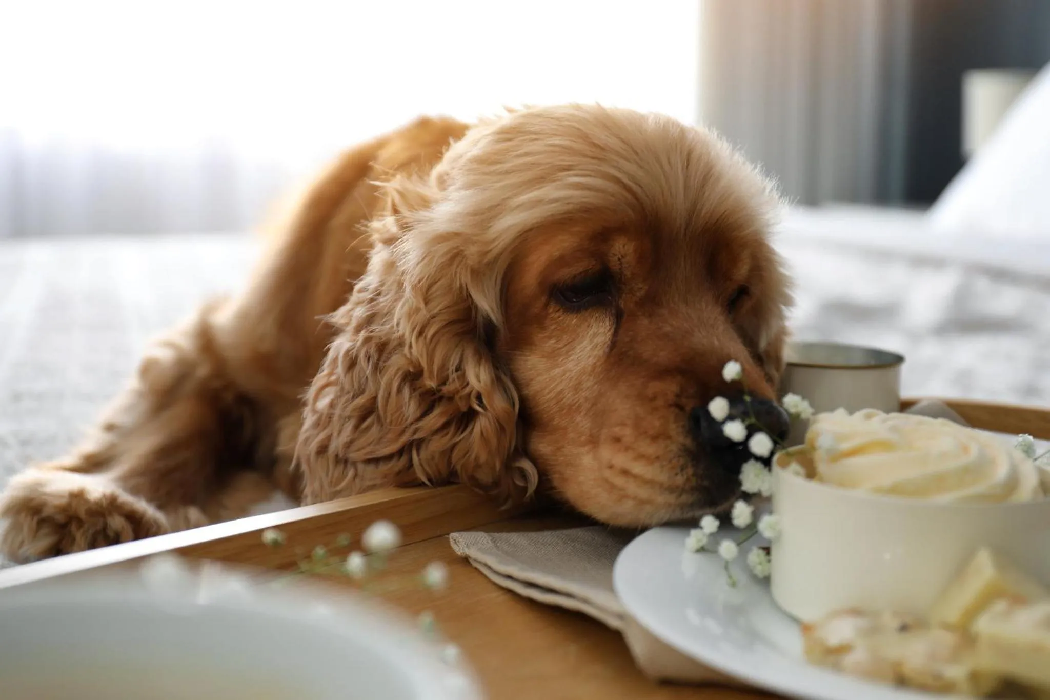 Decorative detail in Hotel Indigo San Diego - Gaslamp Quarter by IHG