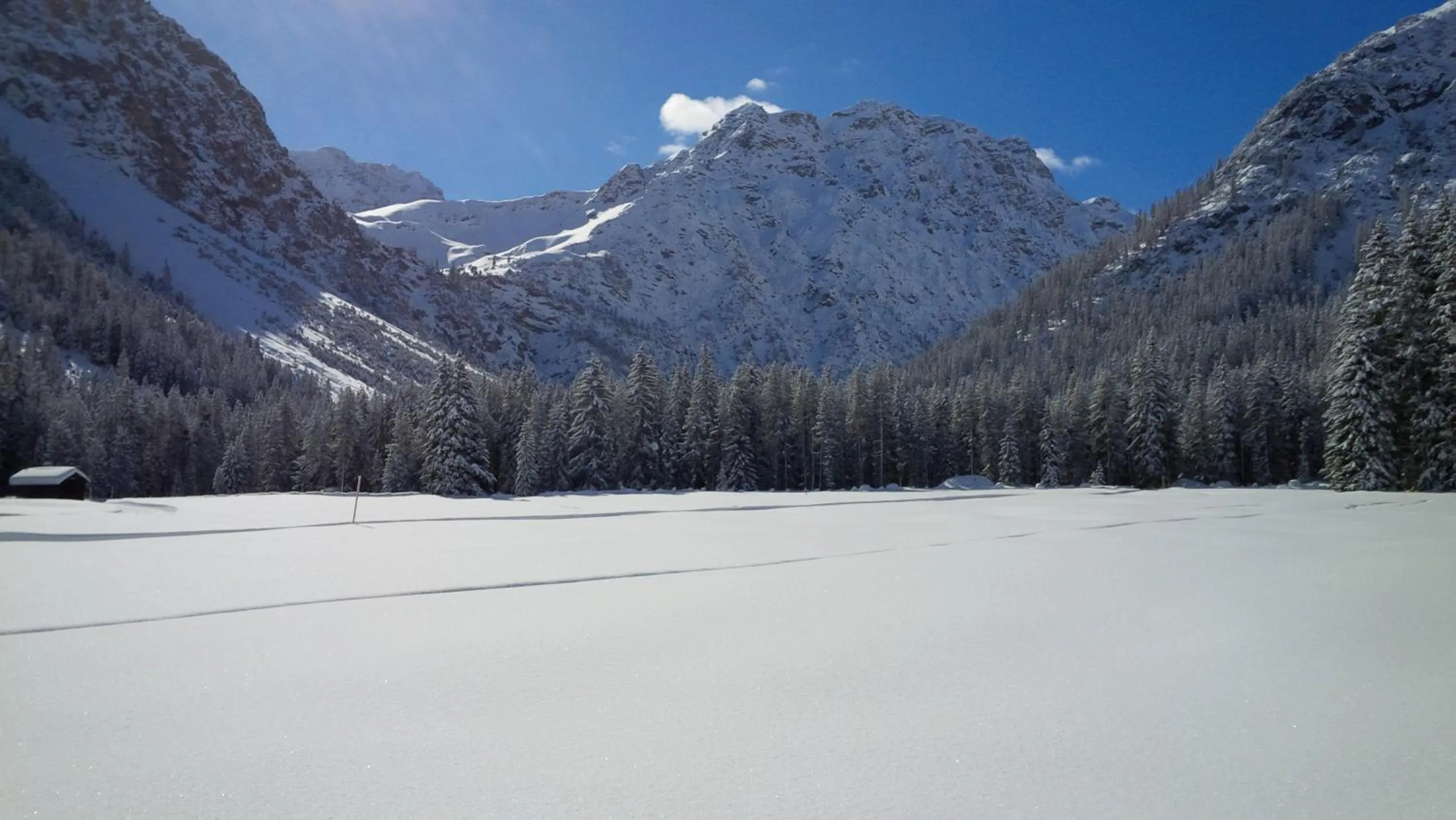 Winter in AROSA ALPINE CLUB - Adults only