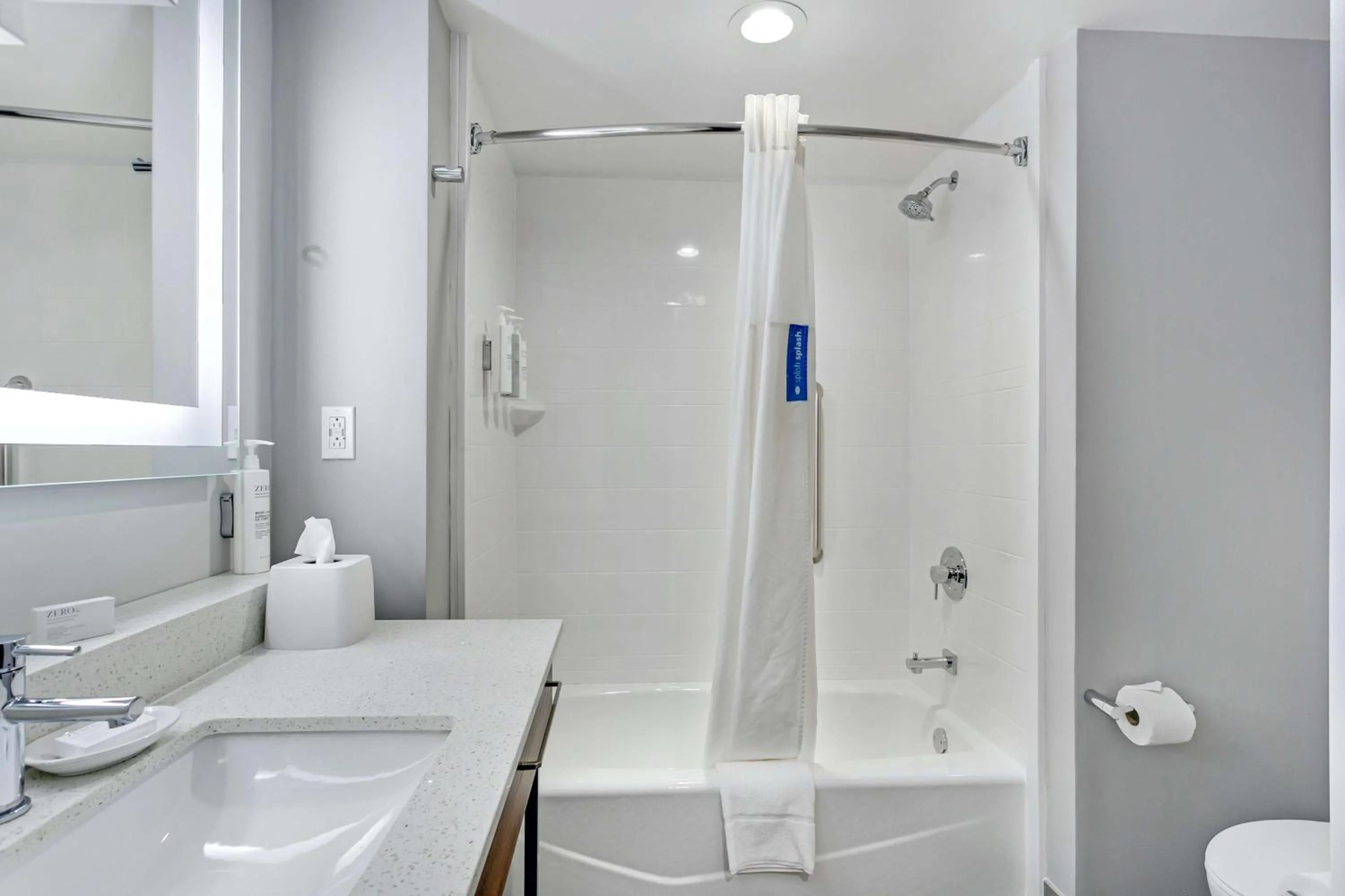 Bathroom in Hampton Inn Houston-Pearland, TX