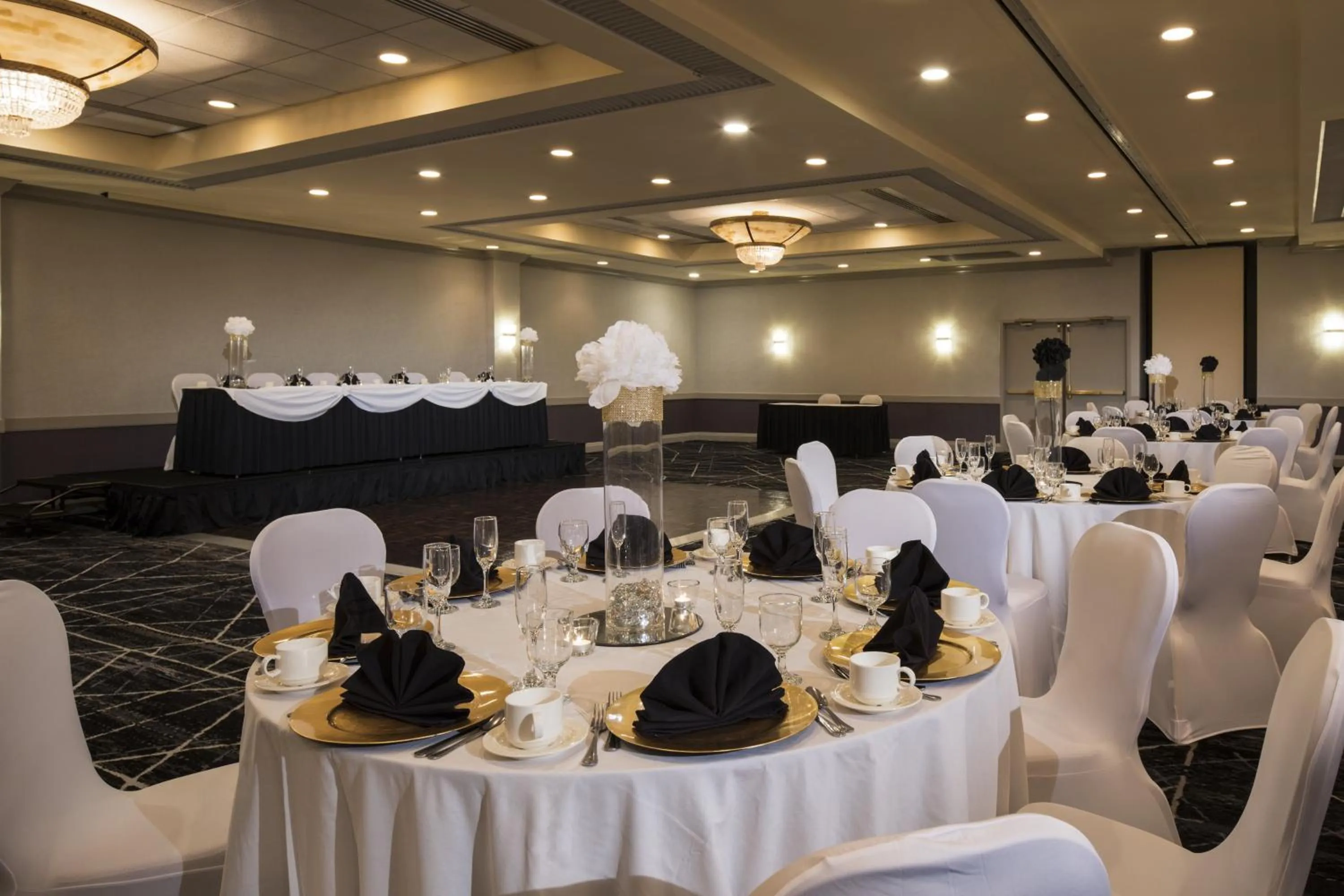 Banquet/Function facilities in Holiday Inn Washington-College Pk I-95