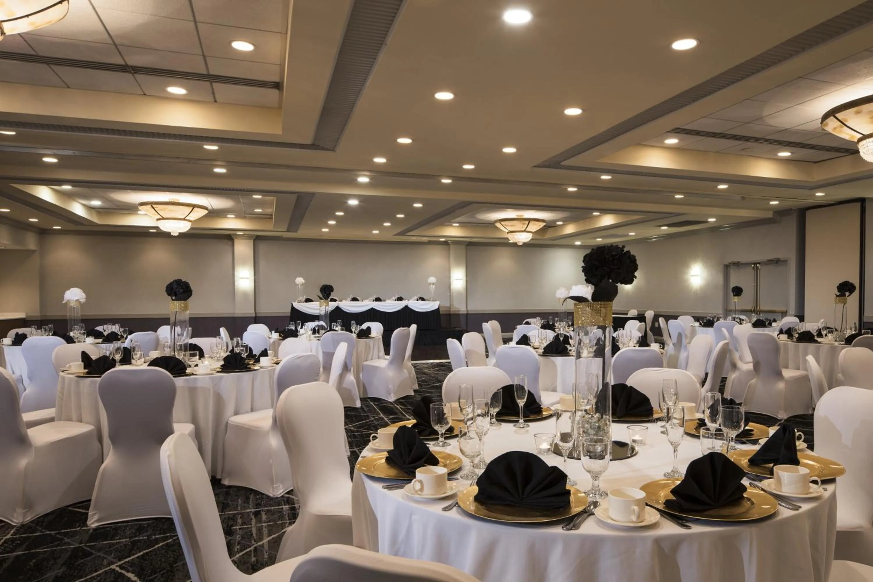 Banquet/Function facilities in Holiday Inn Washington-College Pk I-95