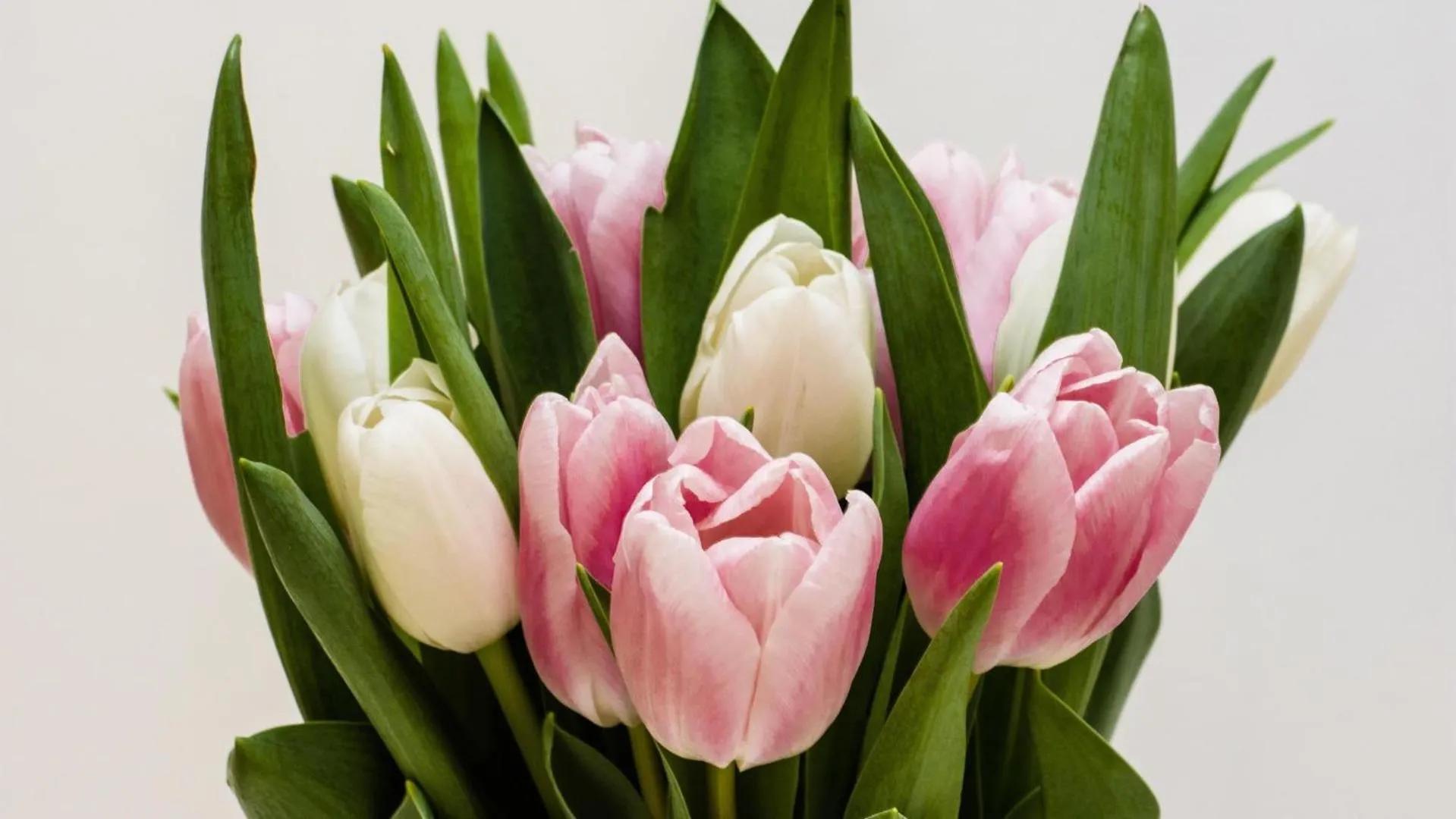 Other in Kempinski Hotel Aqaba