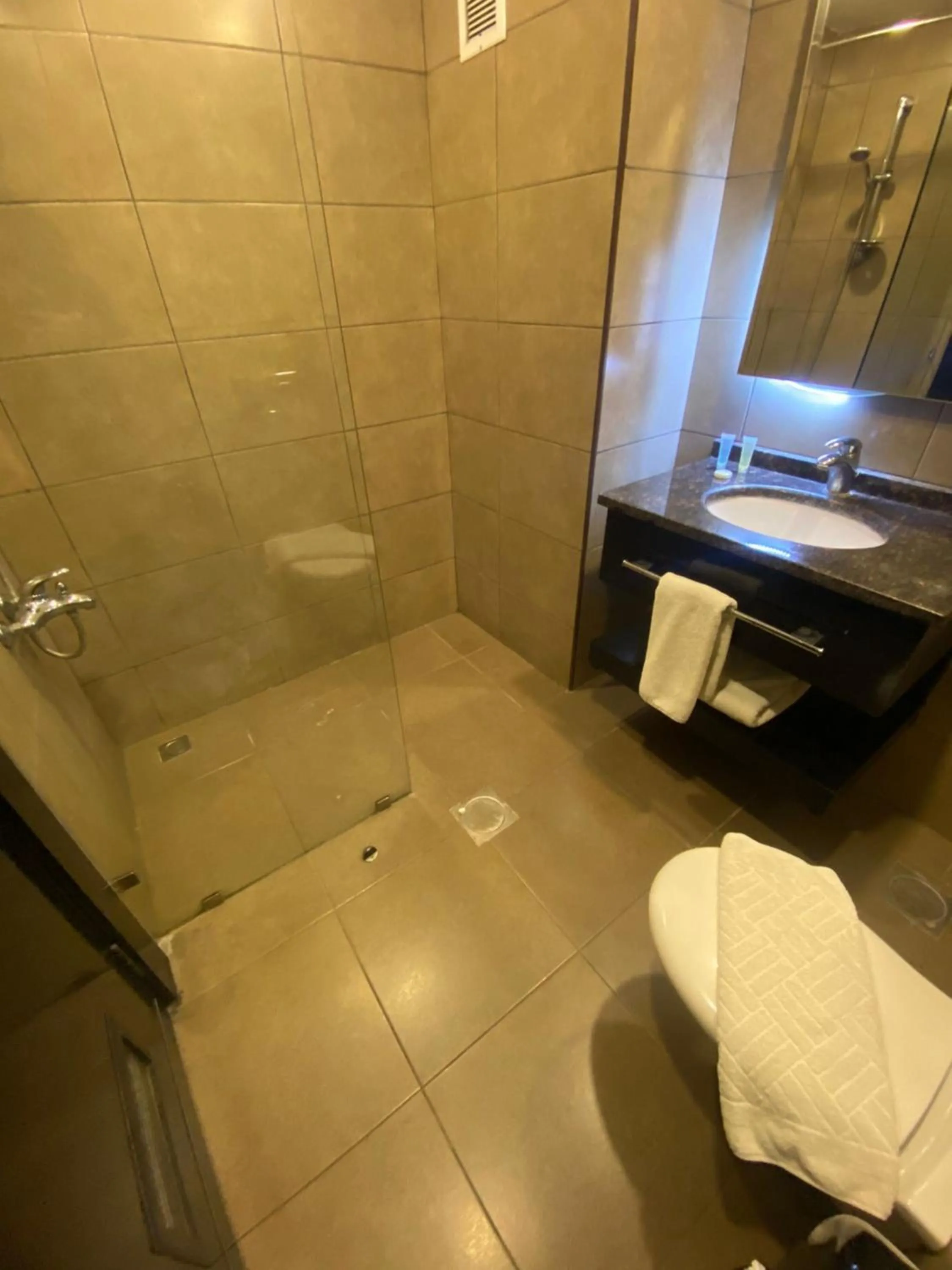 Shower in Torino Hotel Amman