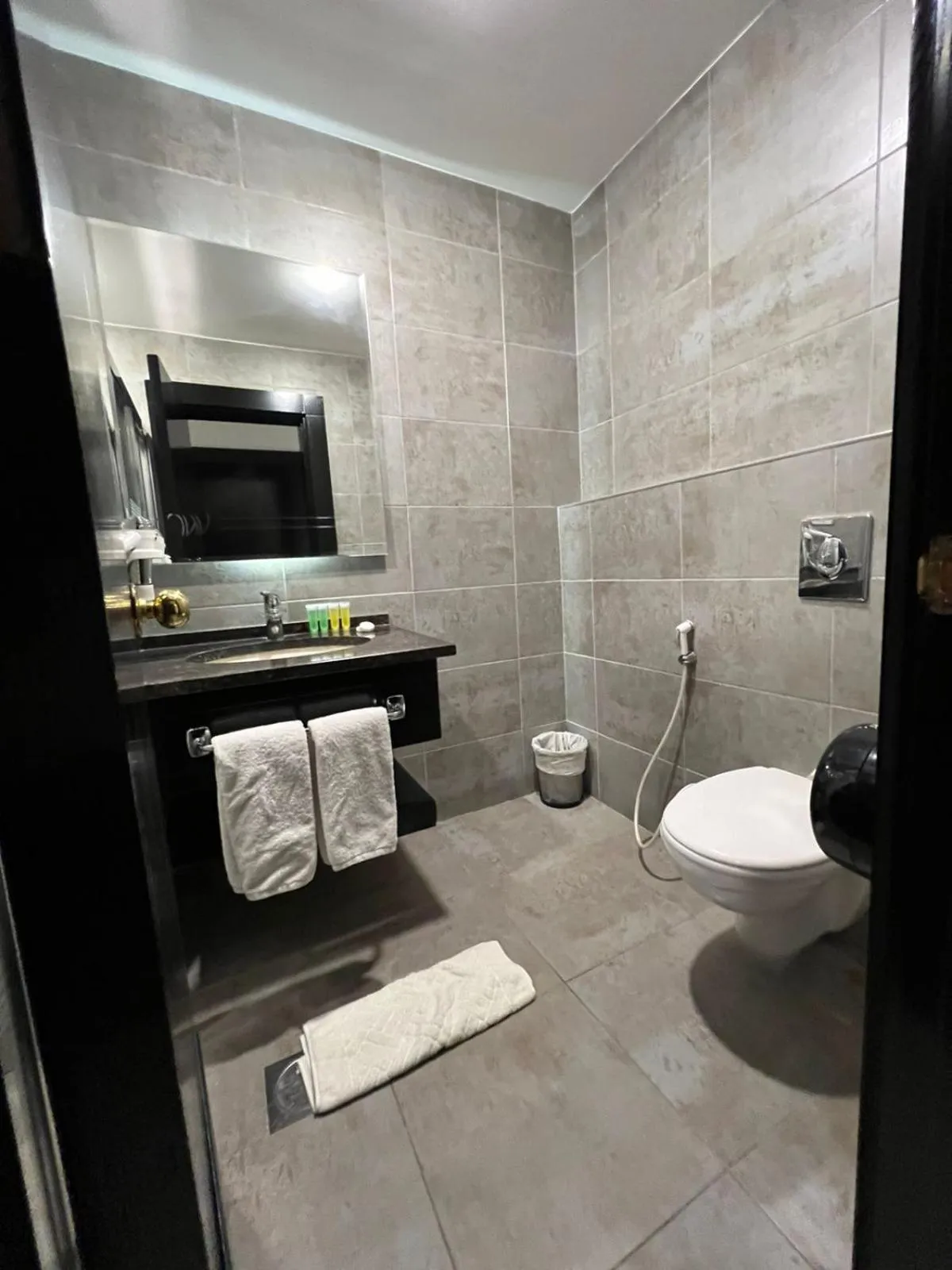 Shower in Torino Hotel Amman