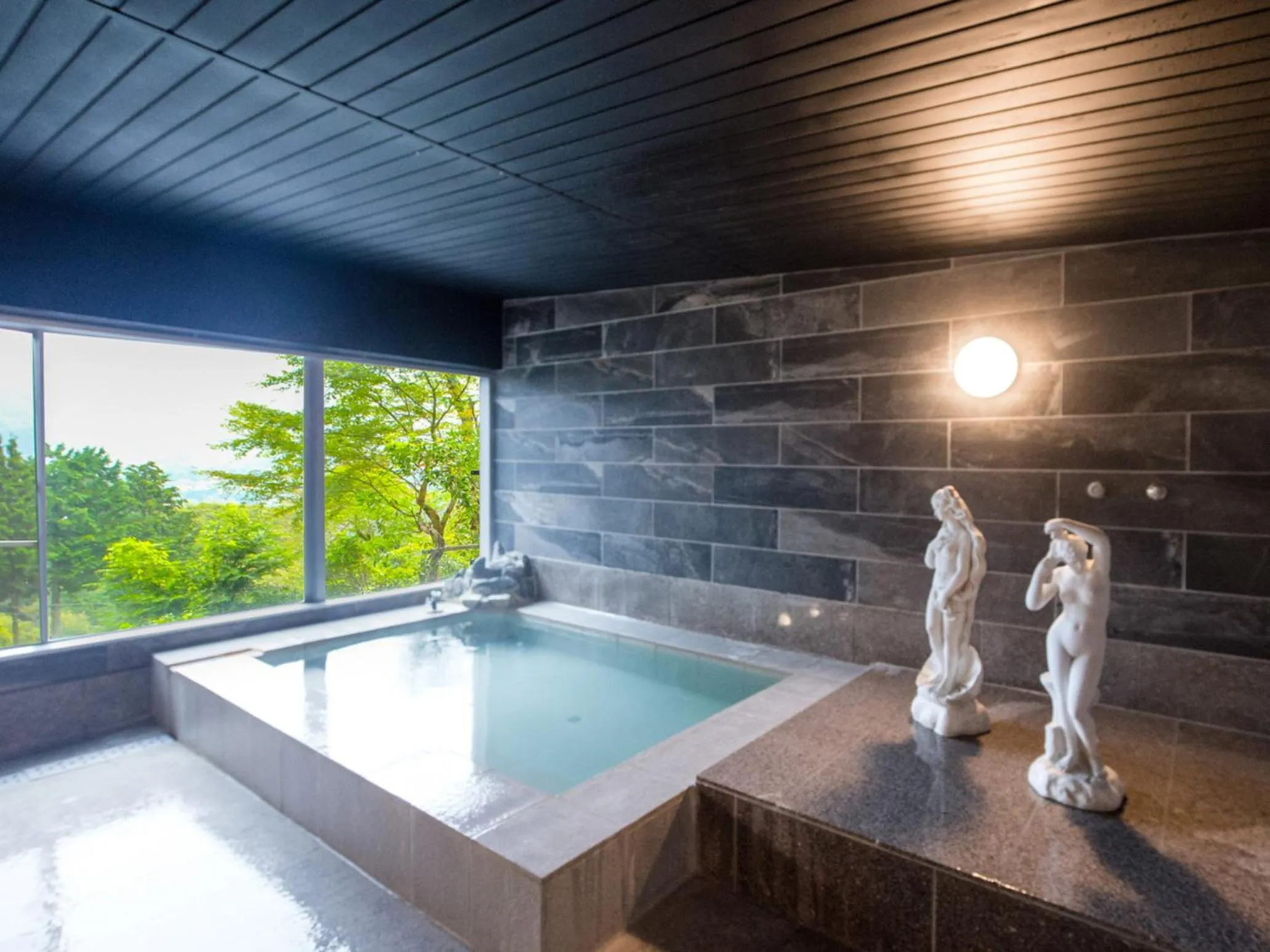 Hot Spring Bath in LiVEMAX RESORT Hakone Sengokuhara
