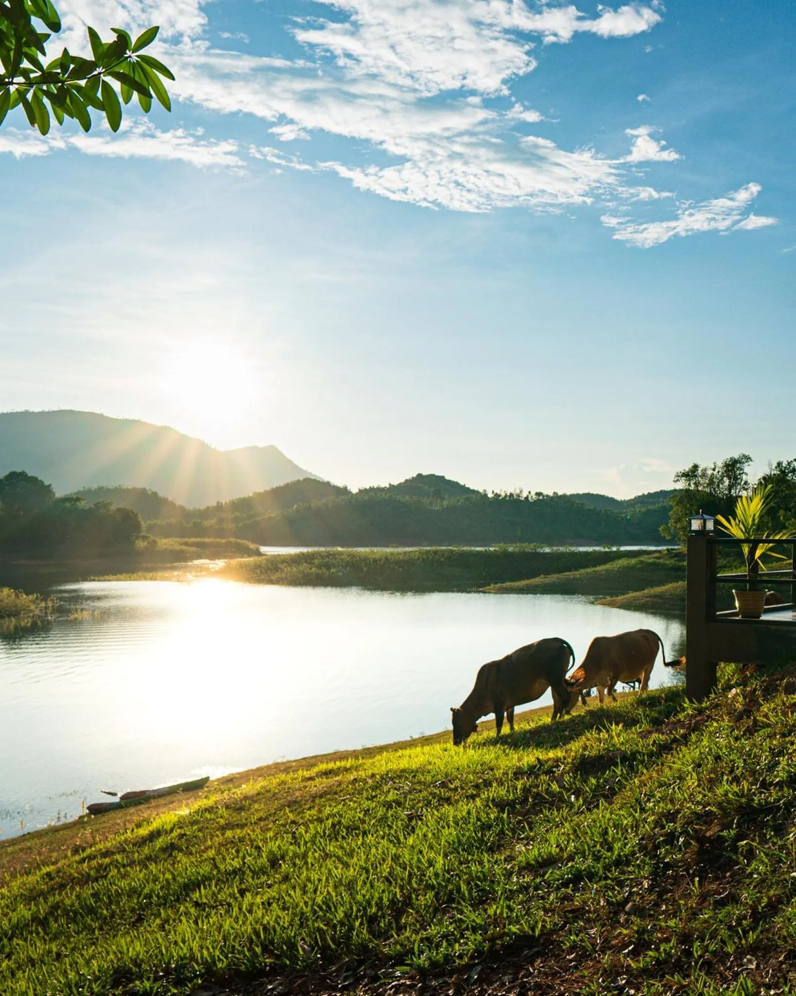 Lake view in Green View Resort