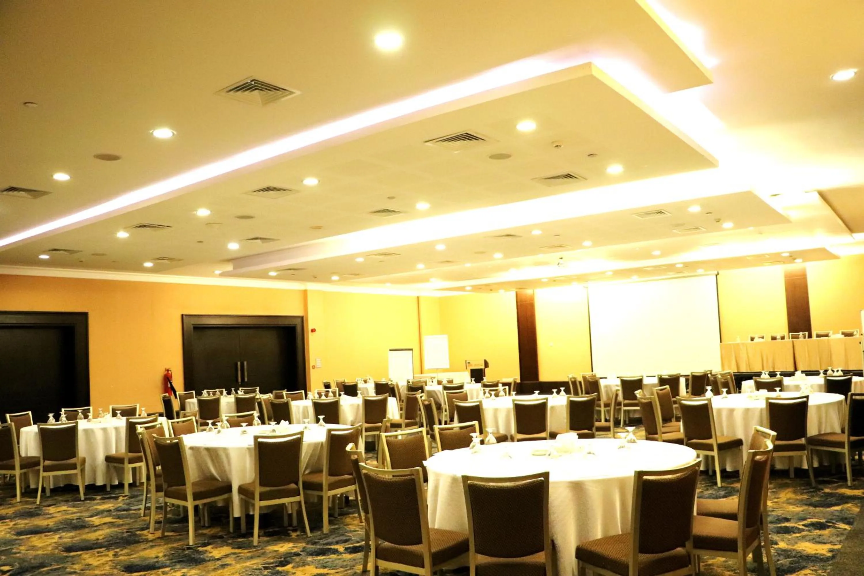Meeting/conference room in Dead Sea Spa Hotel