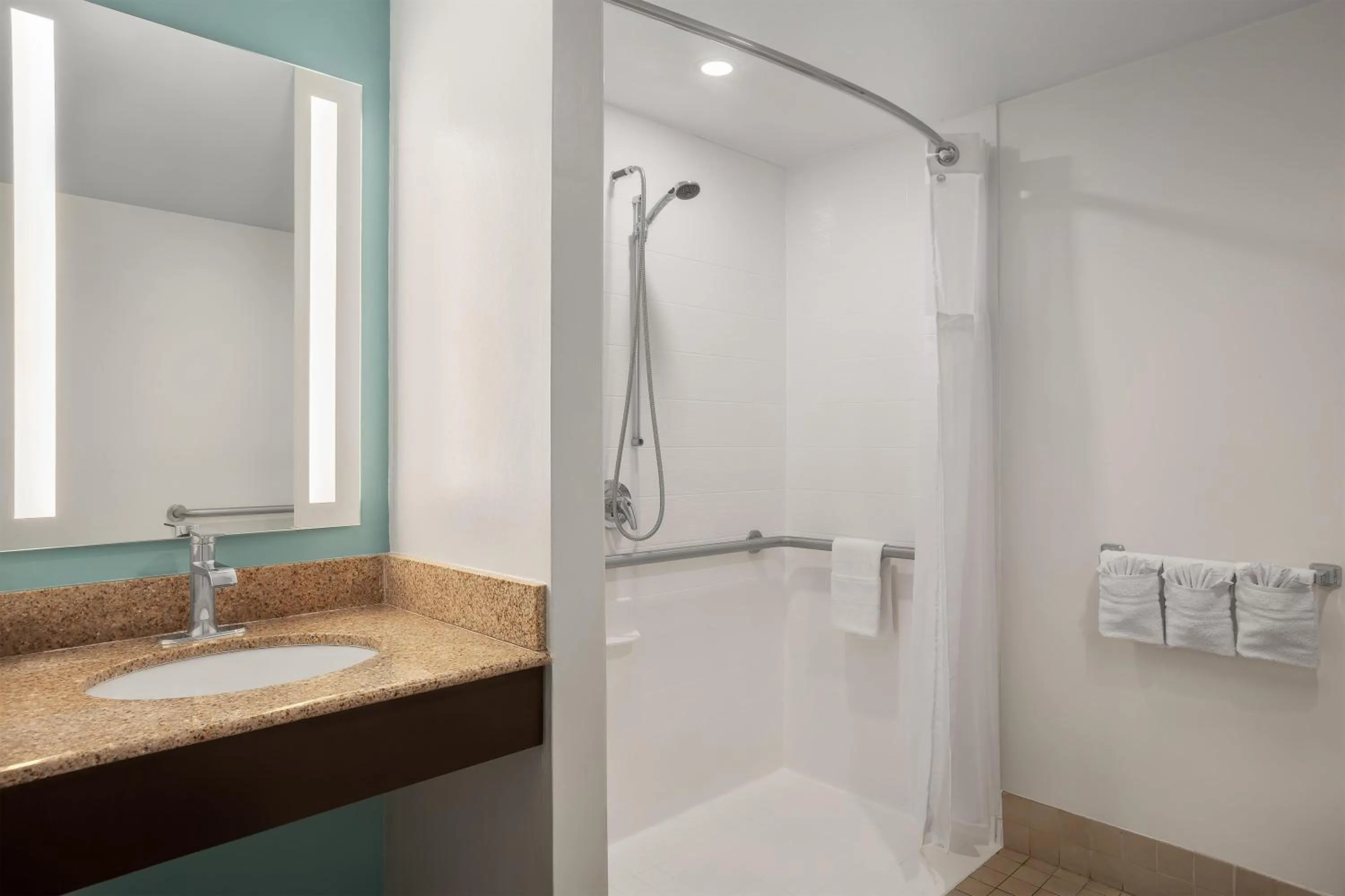 Bathroom in Hilton Garden Inn Tampa North