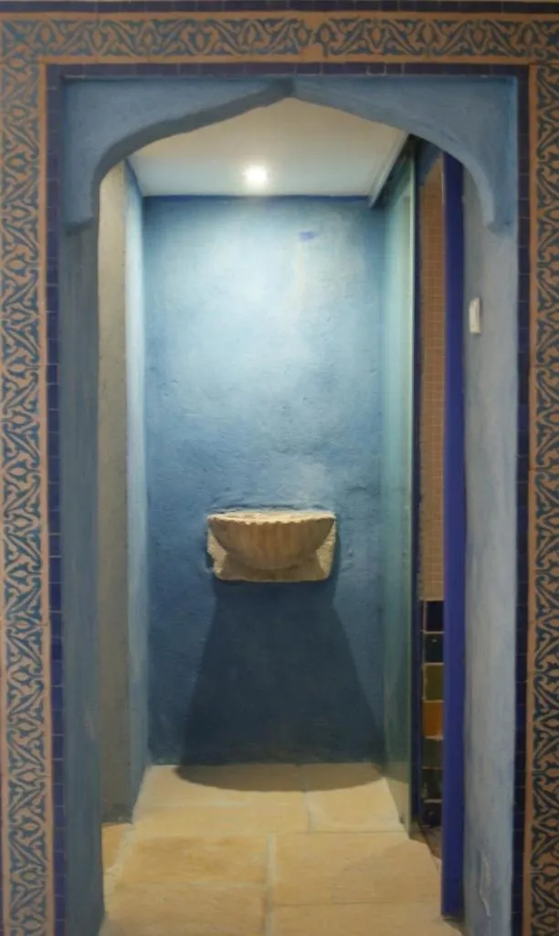 Steam room in Demeure de Digoine "Chambre d'Hotes"