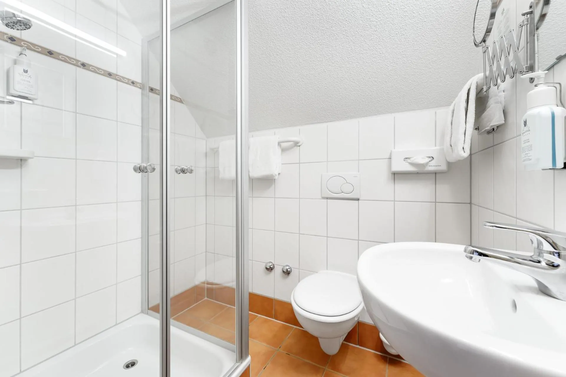 Shower in Hotel Schlehdorn