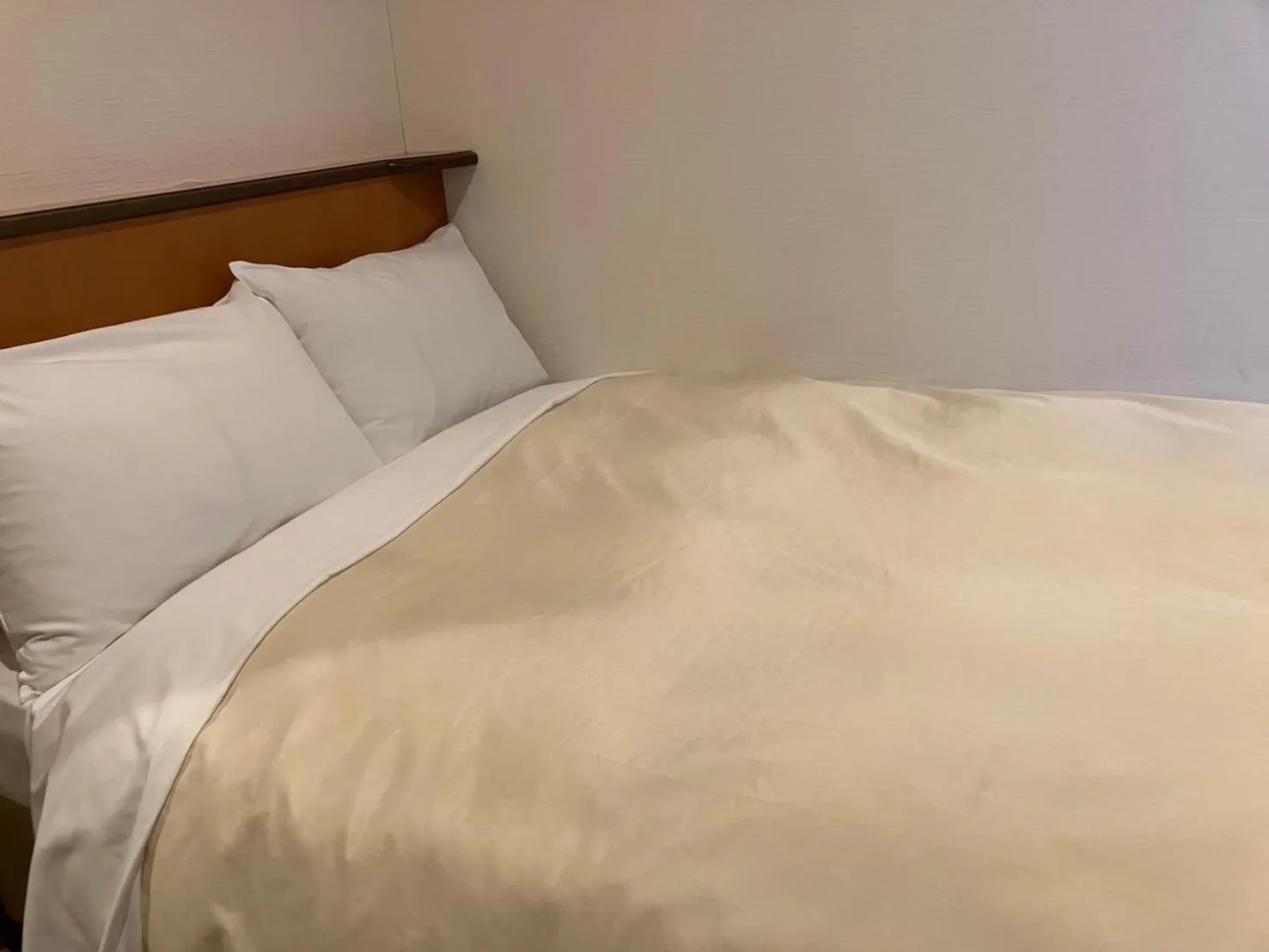 Photo of the whole room in Hotel Kakegawa Hills