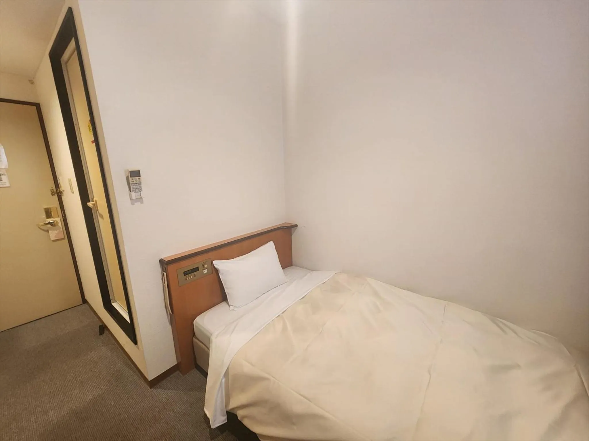 Photo of the whole room in Hotel Kakegawa Hills