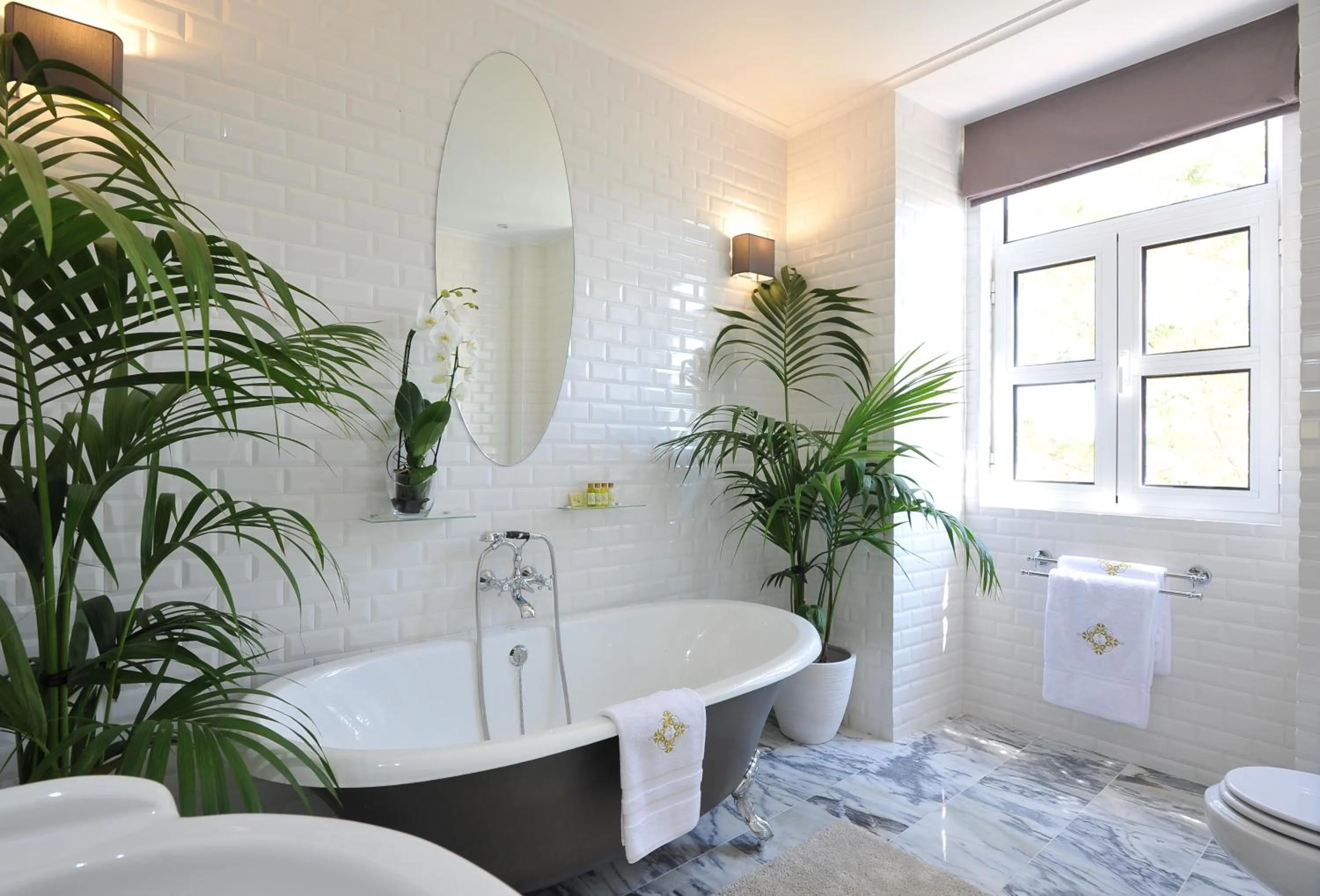 Bathroom in Fonte Da Foz