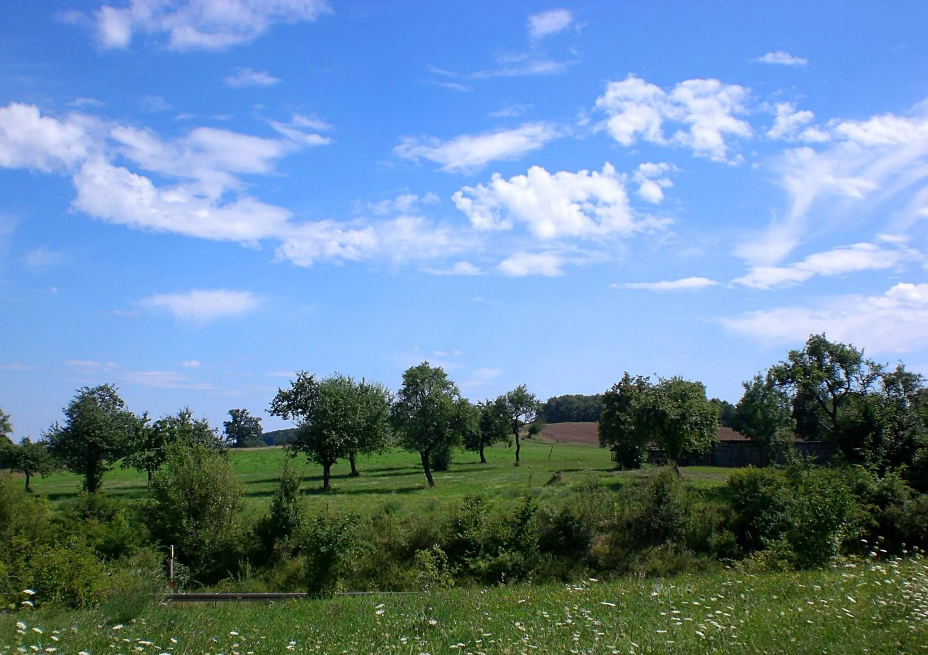 Natural landscape in Hotel-Gasthof "Zum Bartl"