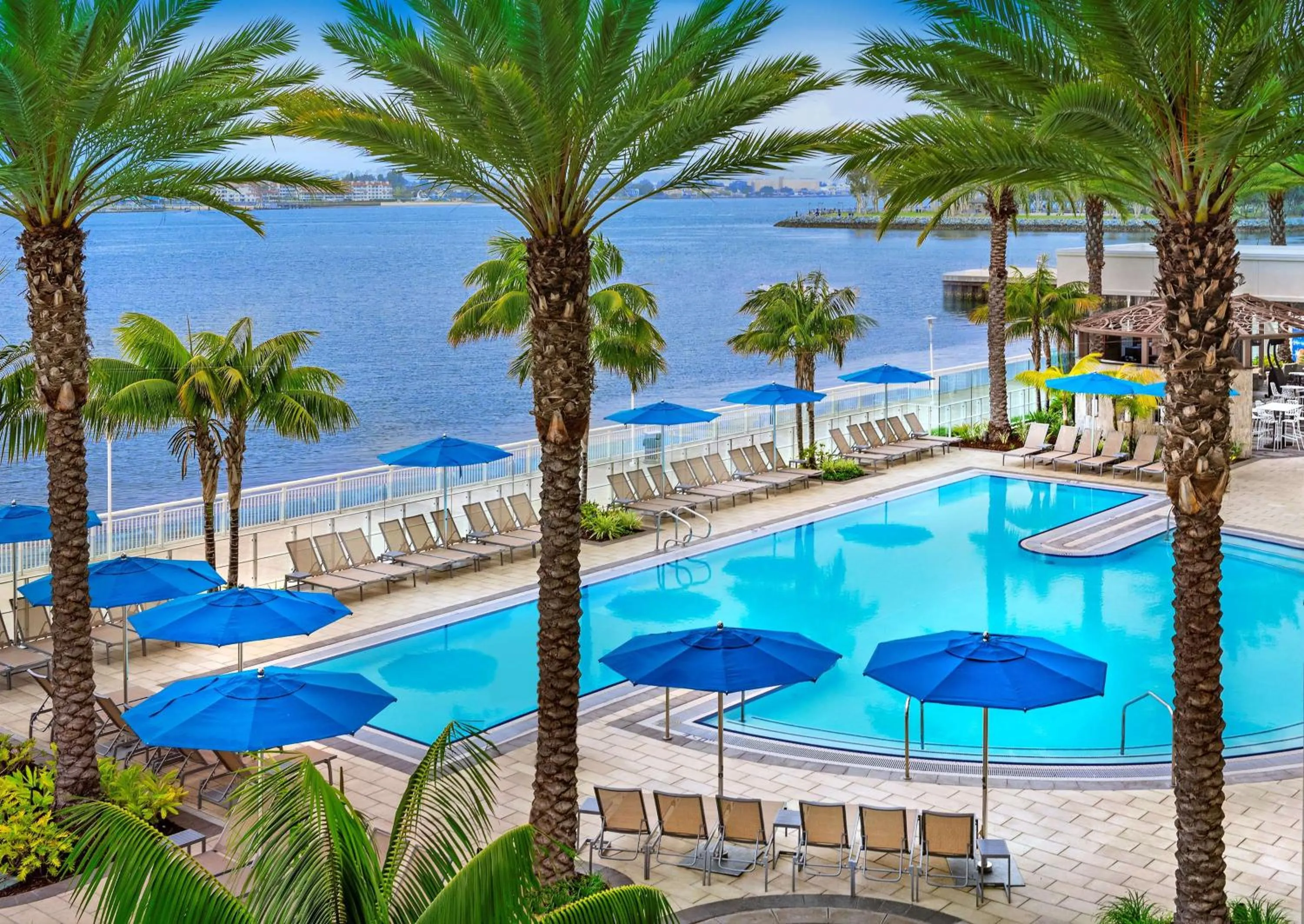 Pool view in Hilton San Diego Bayfront