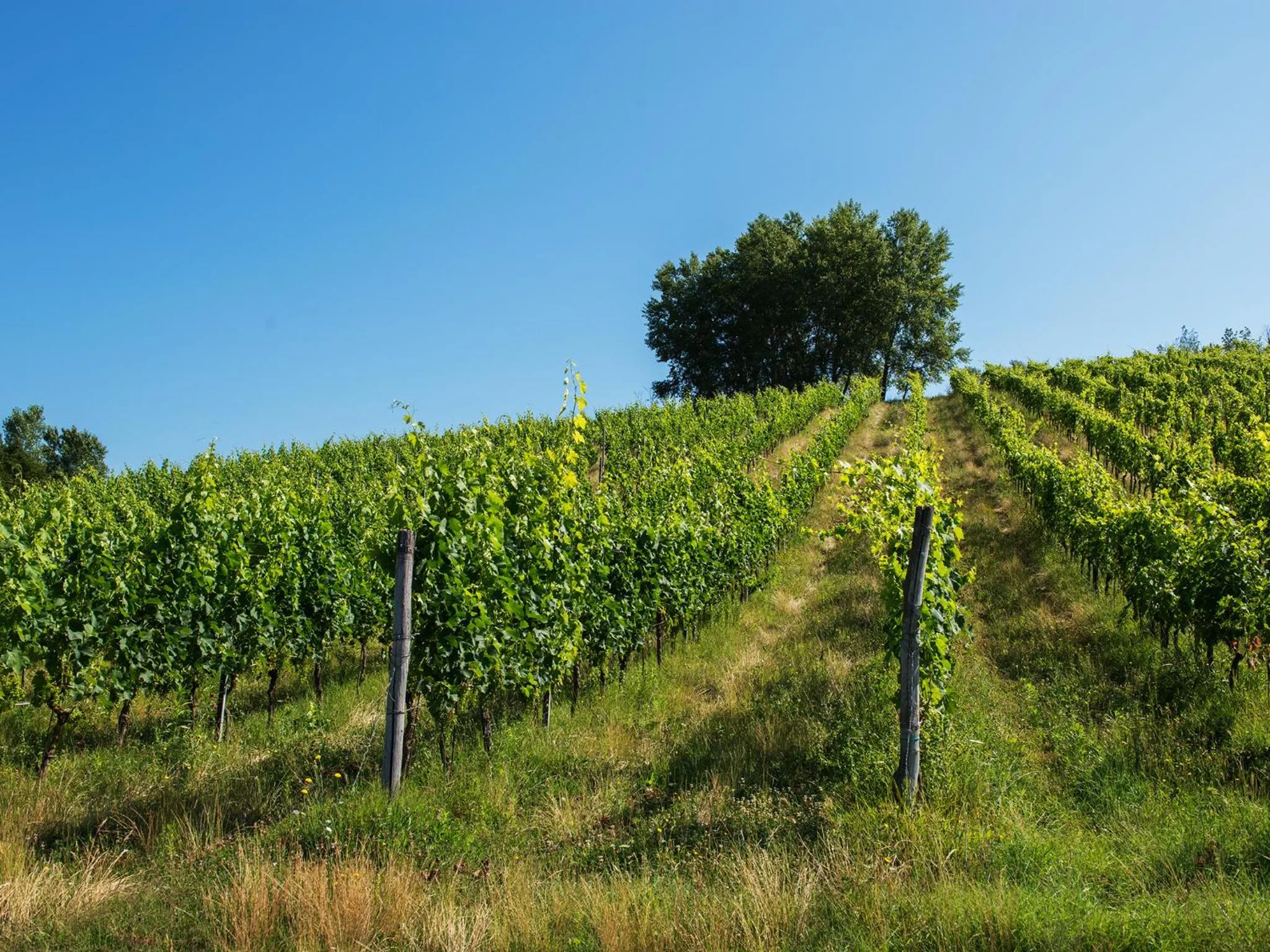 On site in Relais Sassa al Sole