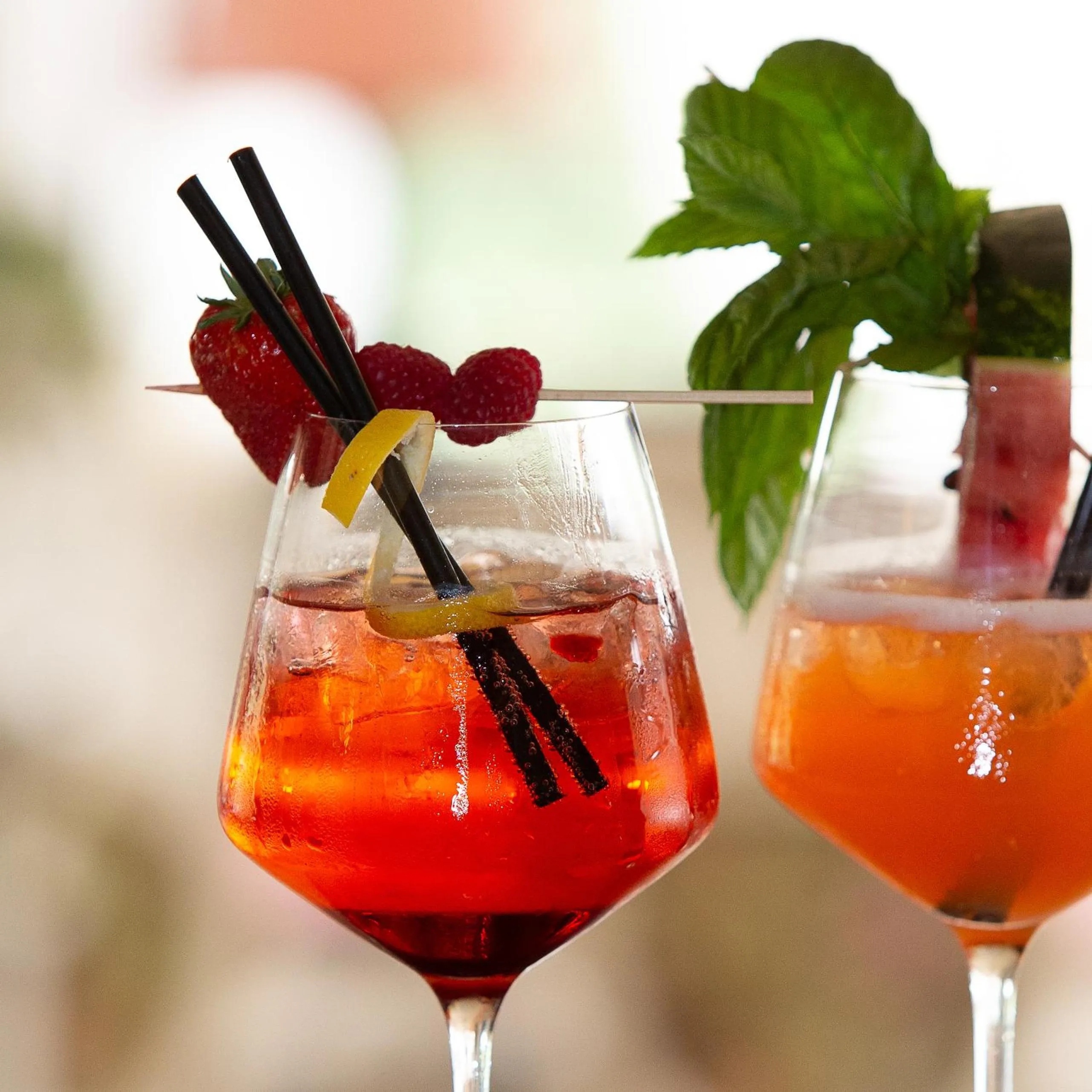 Food and drinks in Relais Sassa al Sole