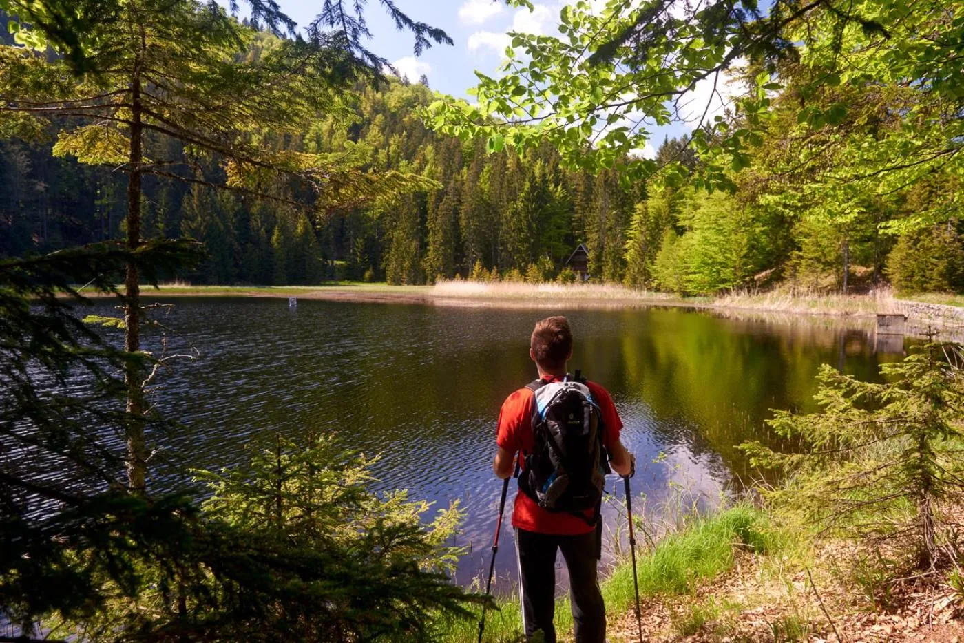Hiking in Bungalows Rogla