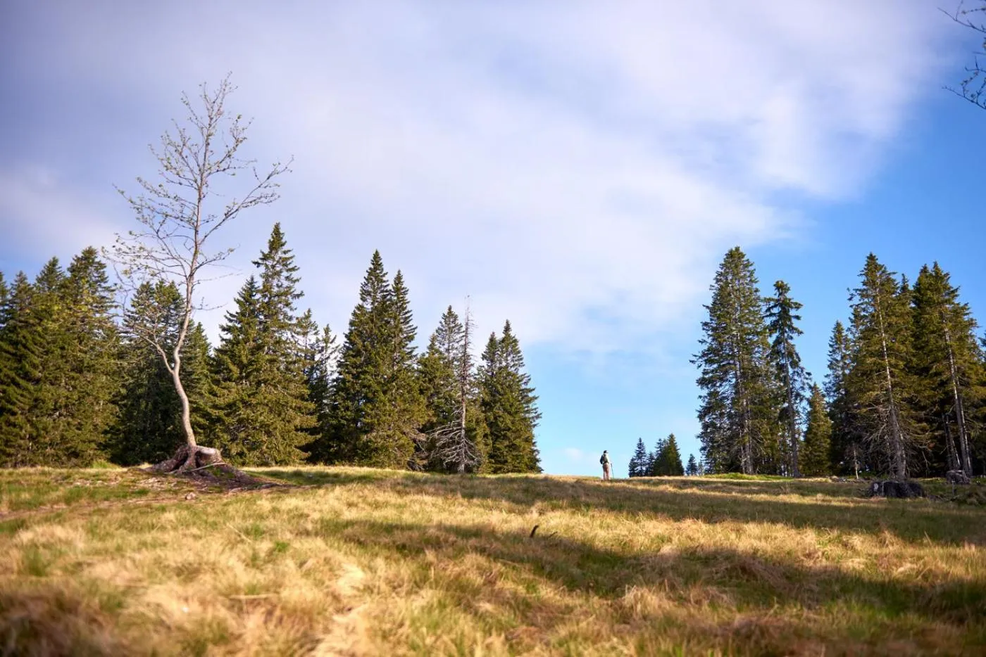 Hiking in Bungalows Rogla