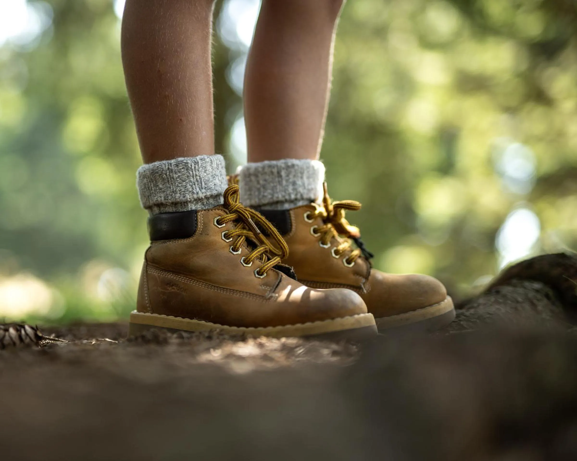 Hiking in Bungalows Rogla