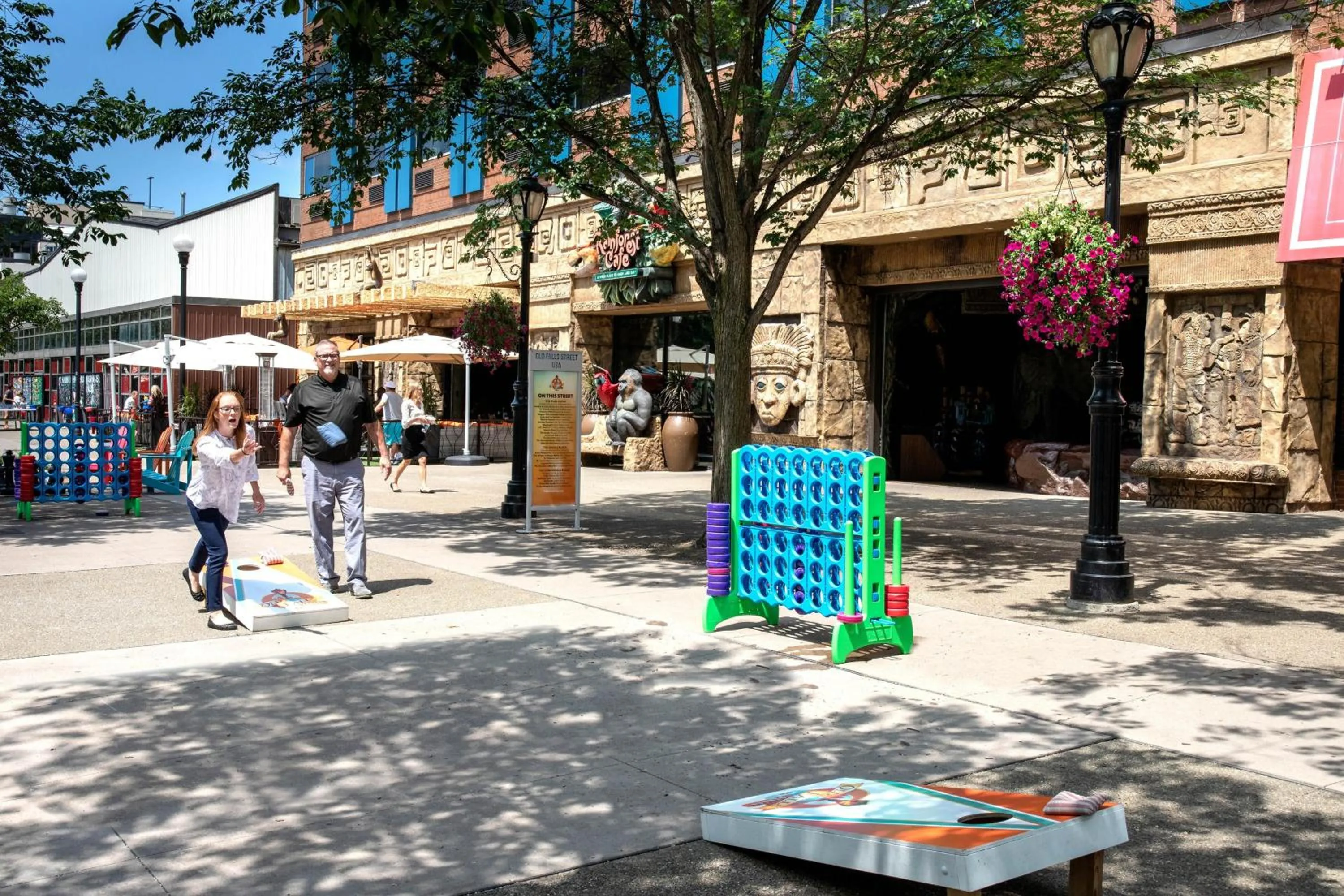 Area and facilities in Sheraton Niagara Falls