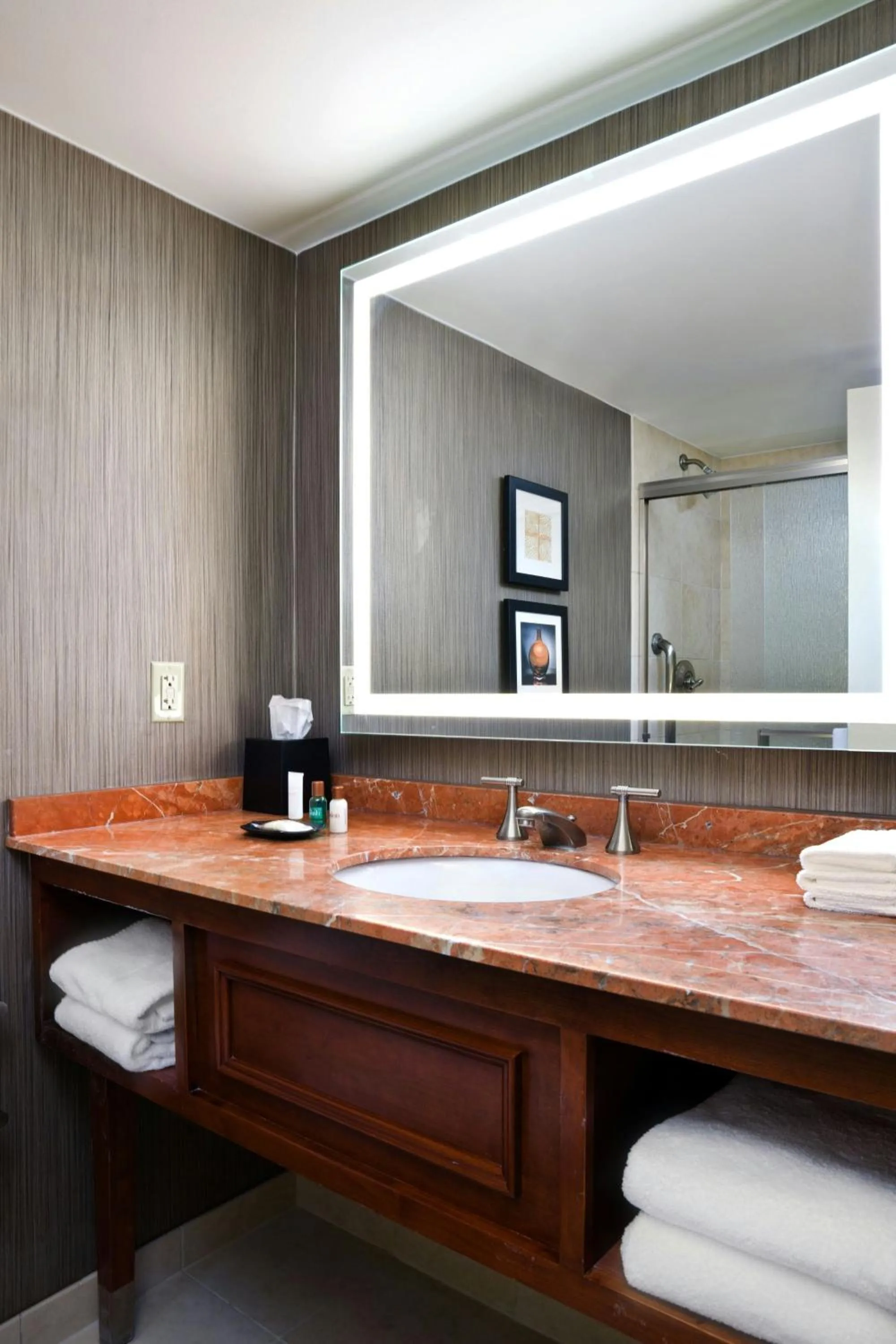 Bathroom in Sheraton Niagara Falls