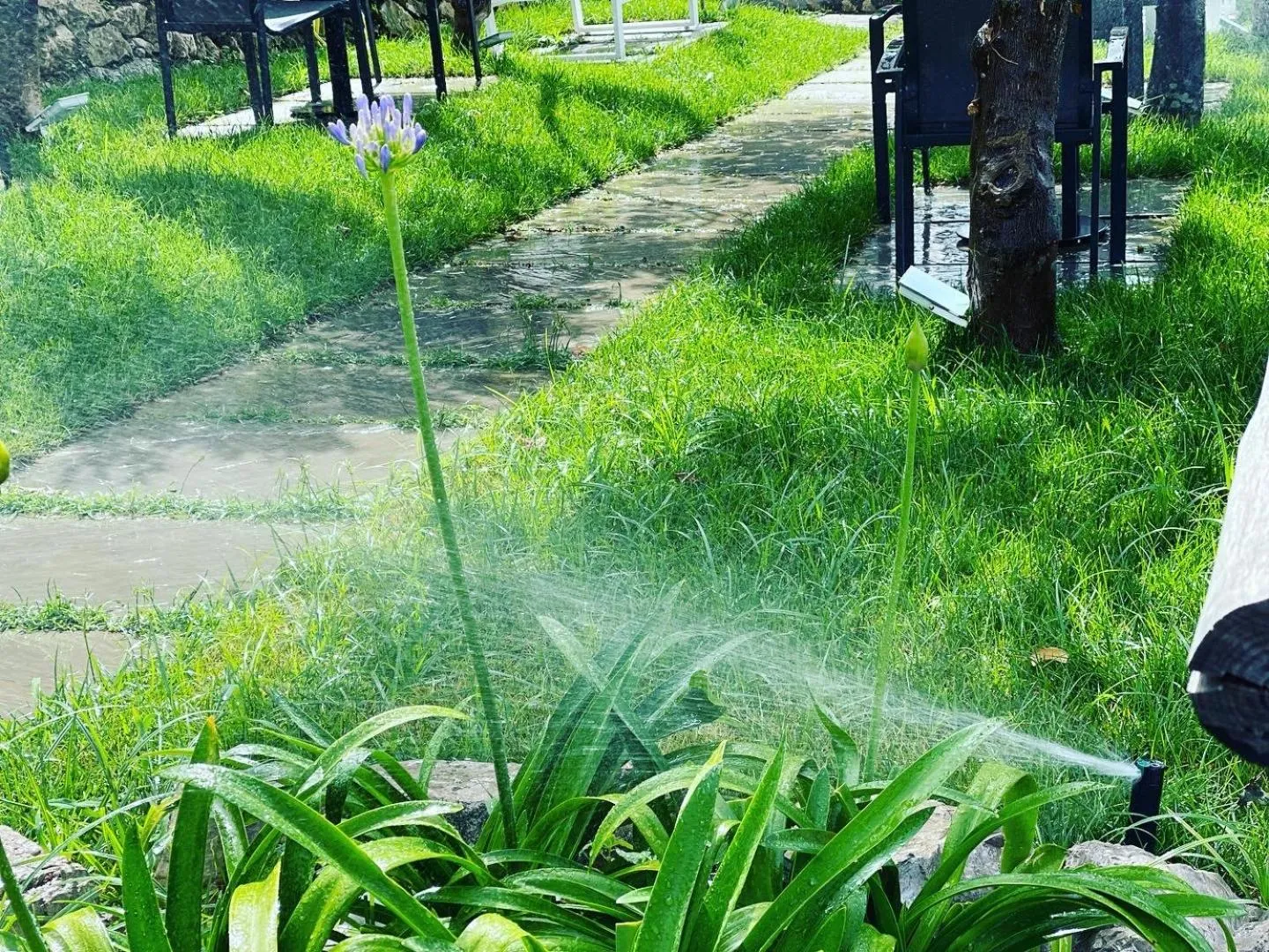 Garden in Relais Manfredi