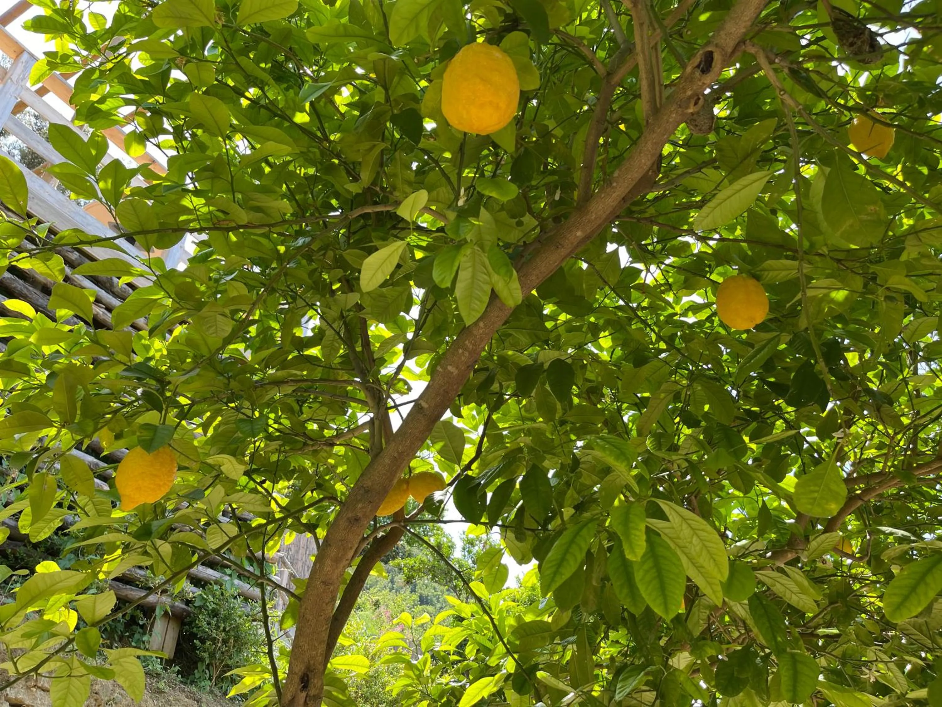 Natural landscape in Relais Manfredi