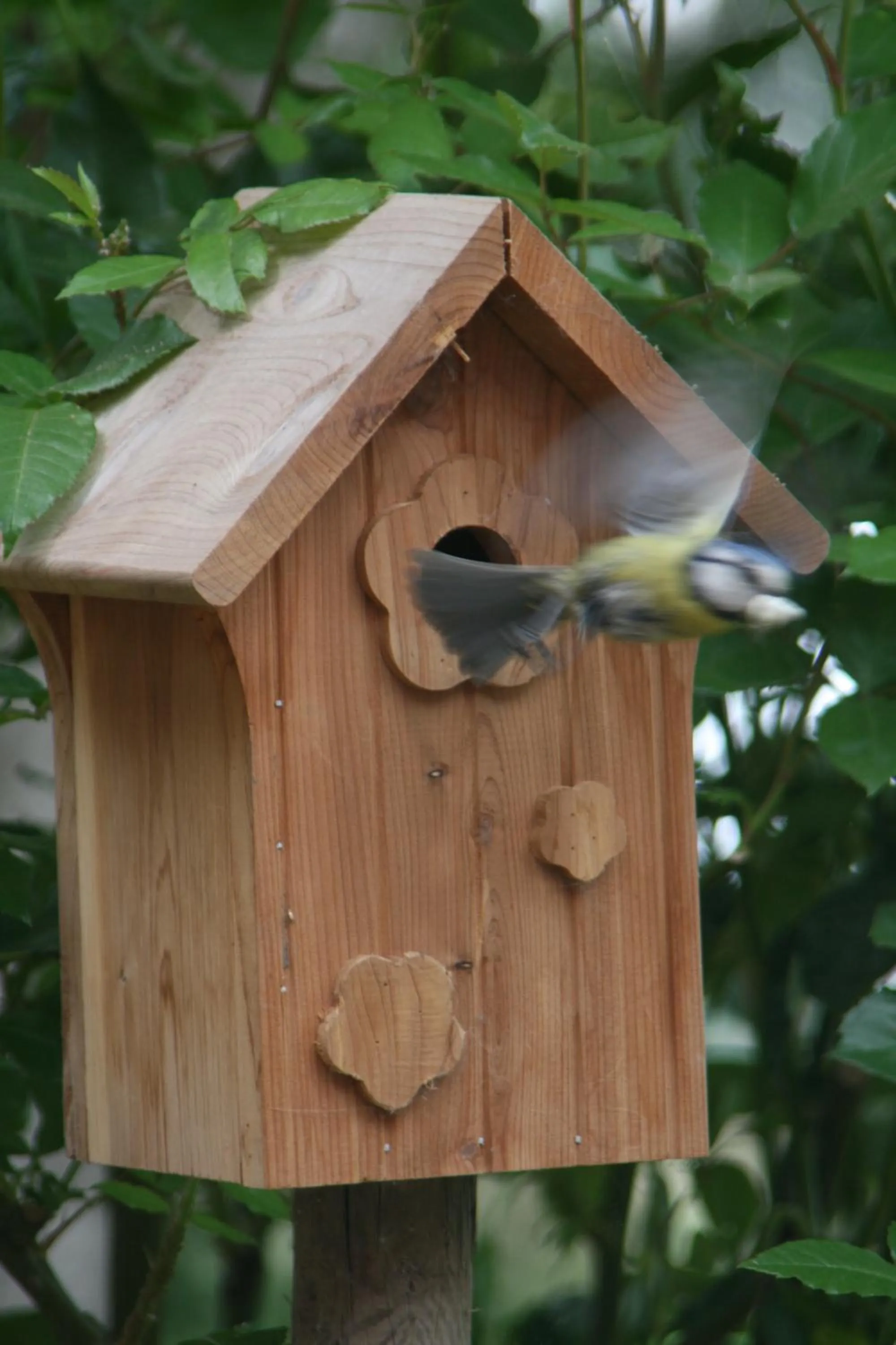 Other in Paardenhof Guesthouse