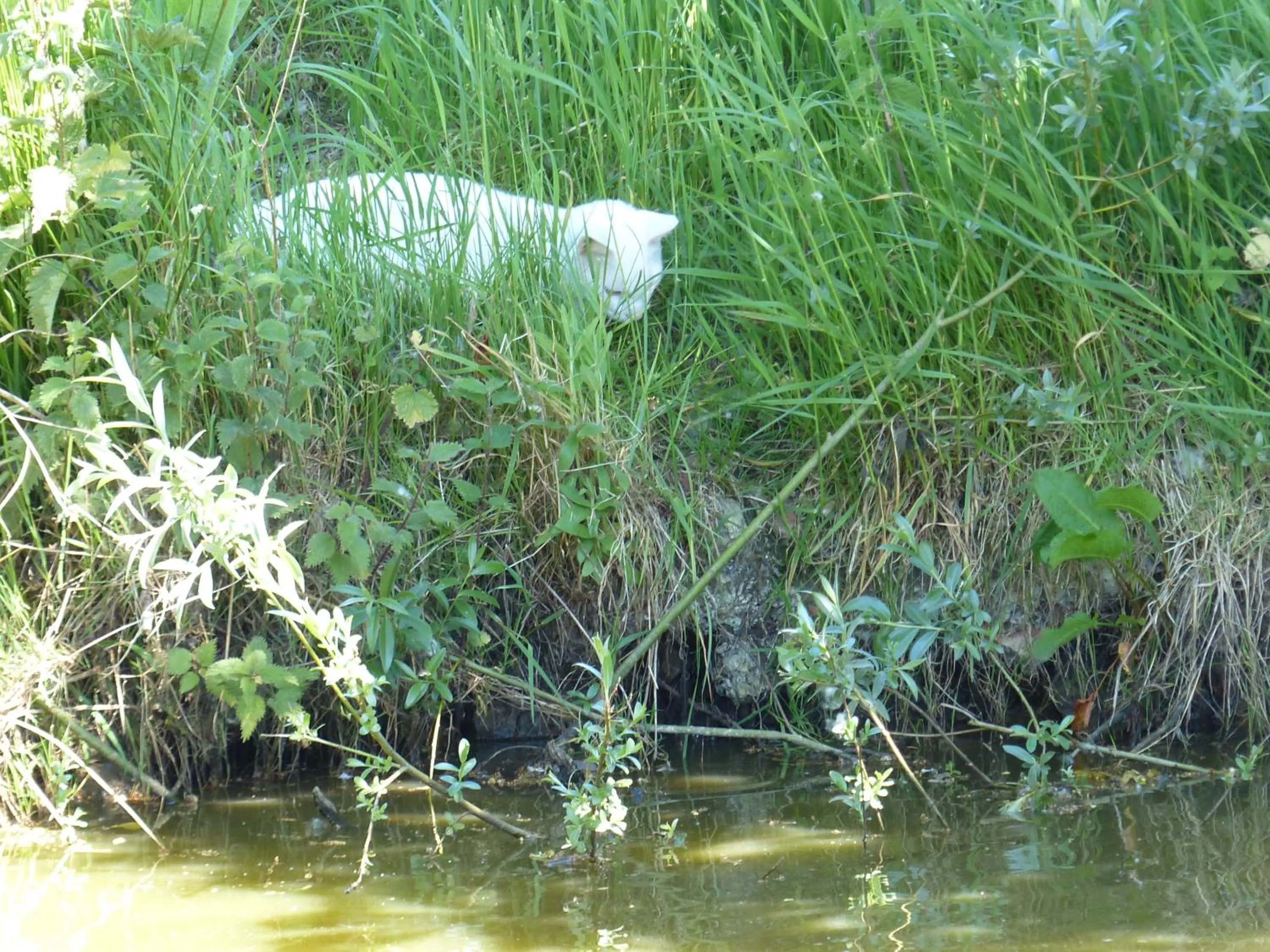 View (from property/room) in Paardenhof Guesthouse