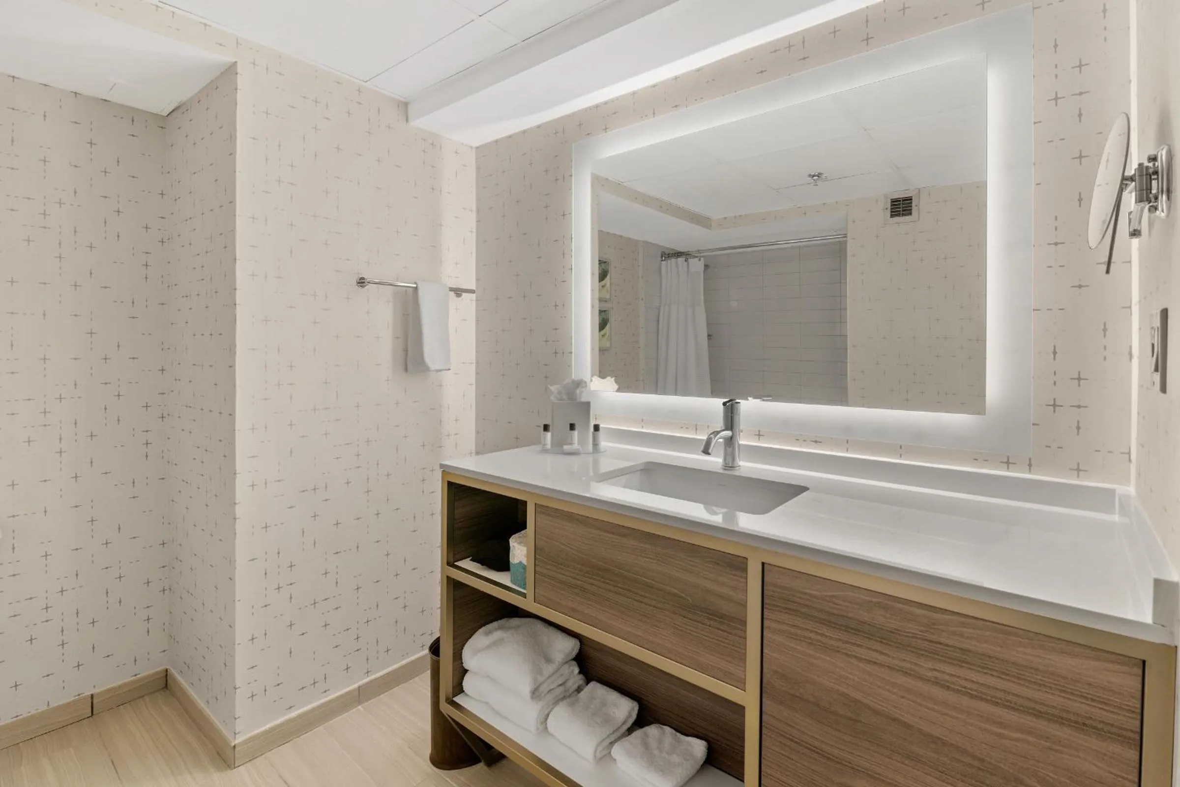 Bathroom in Crowne Plaza Houston Med Ctr-Galleria Area by IHG