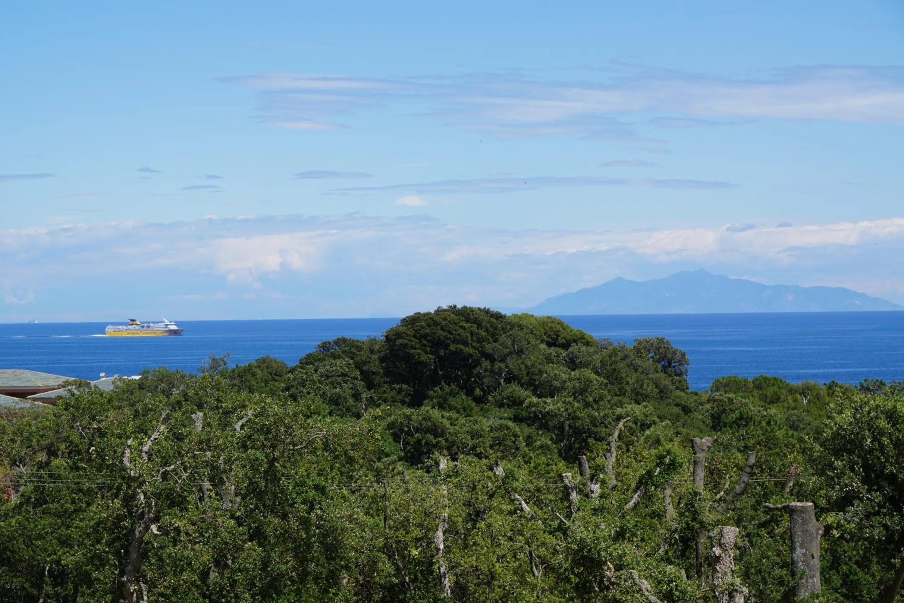 Natural landscape in Suites in Erbalunga