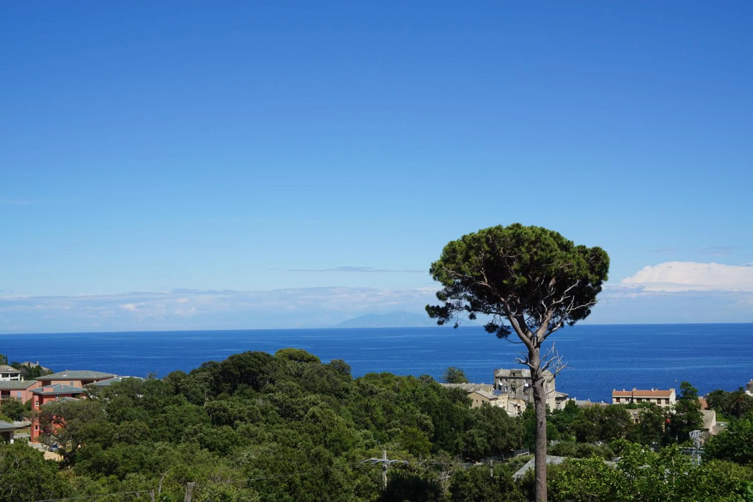 Natural landscape in Suites in Erbalunga