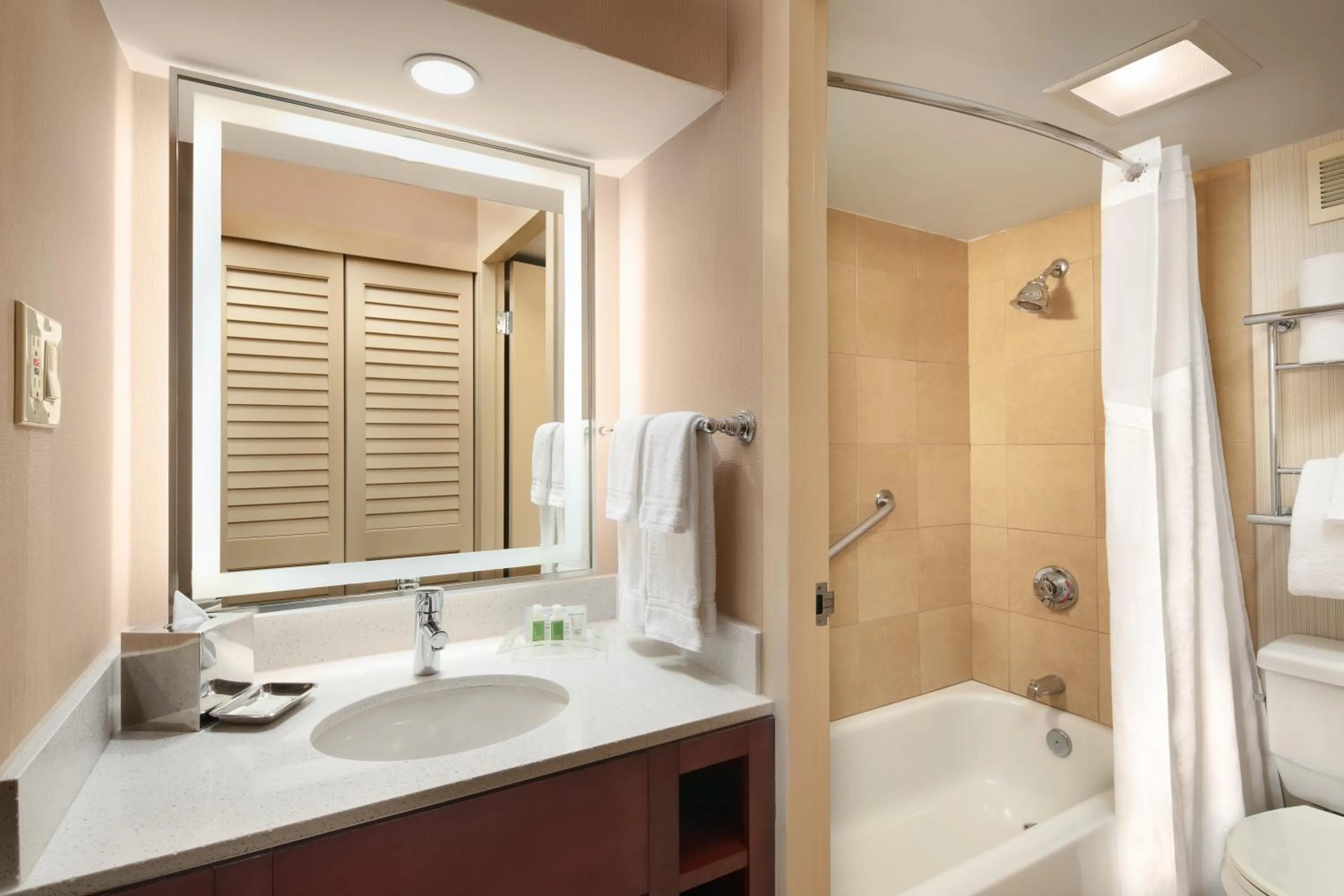 Bathroom in Holiday Inn Austin -Town Lake by IHG