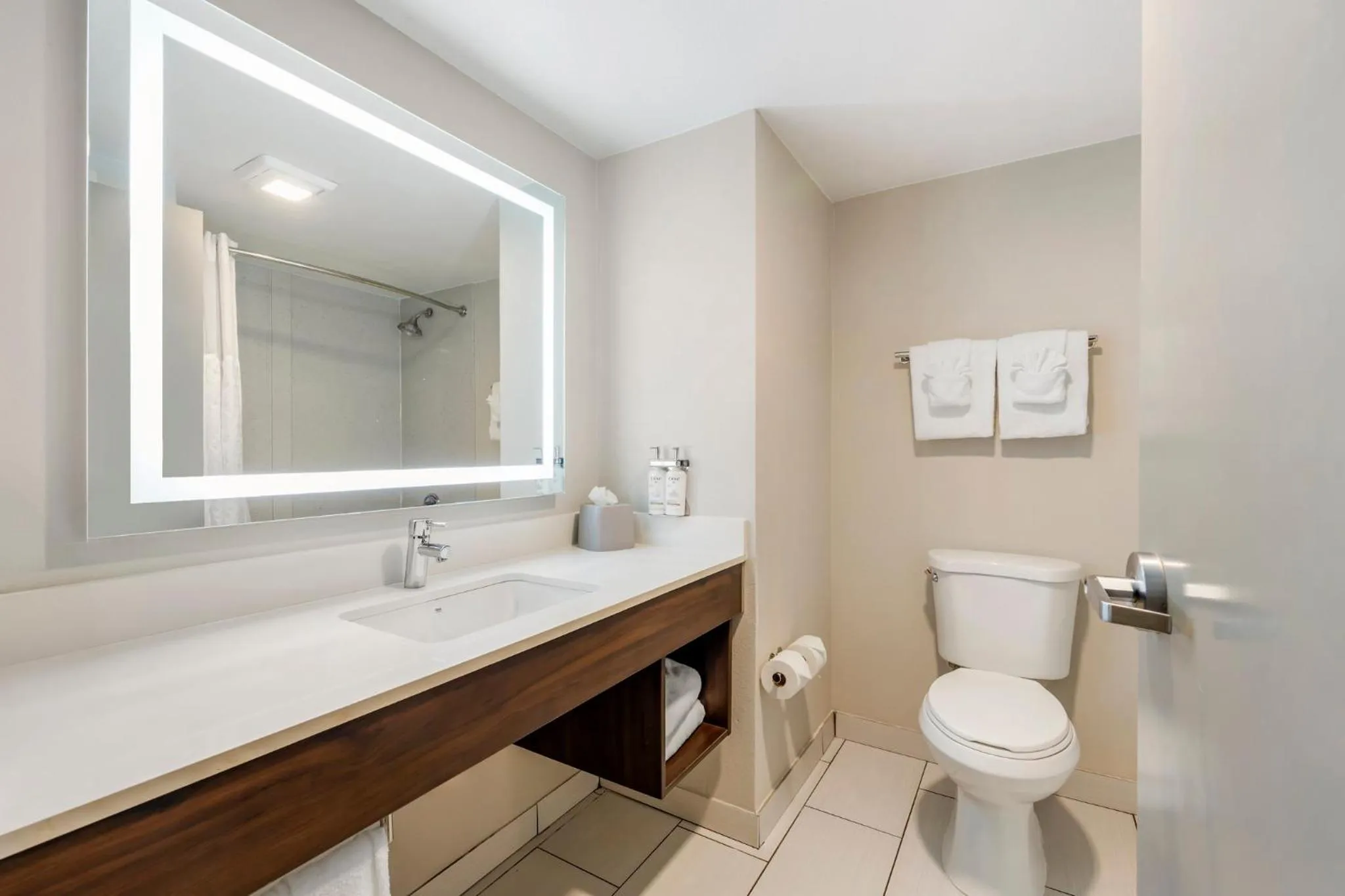 Bathroom in Holiday Inn Express & Suites Nashville Southeast - Antioch by IHG