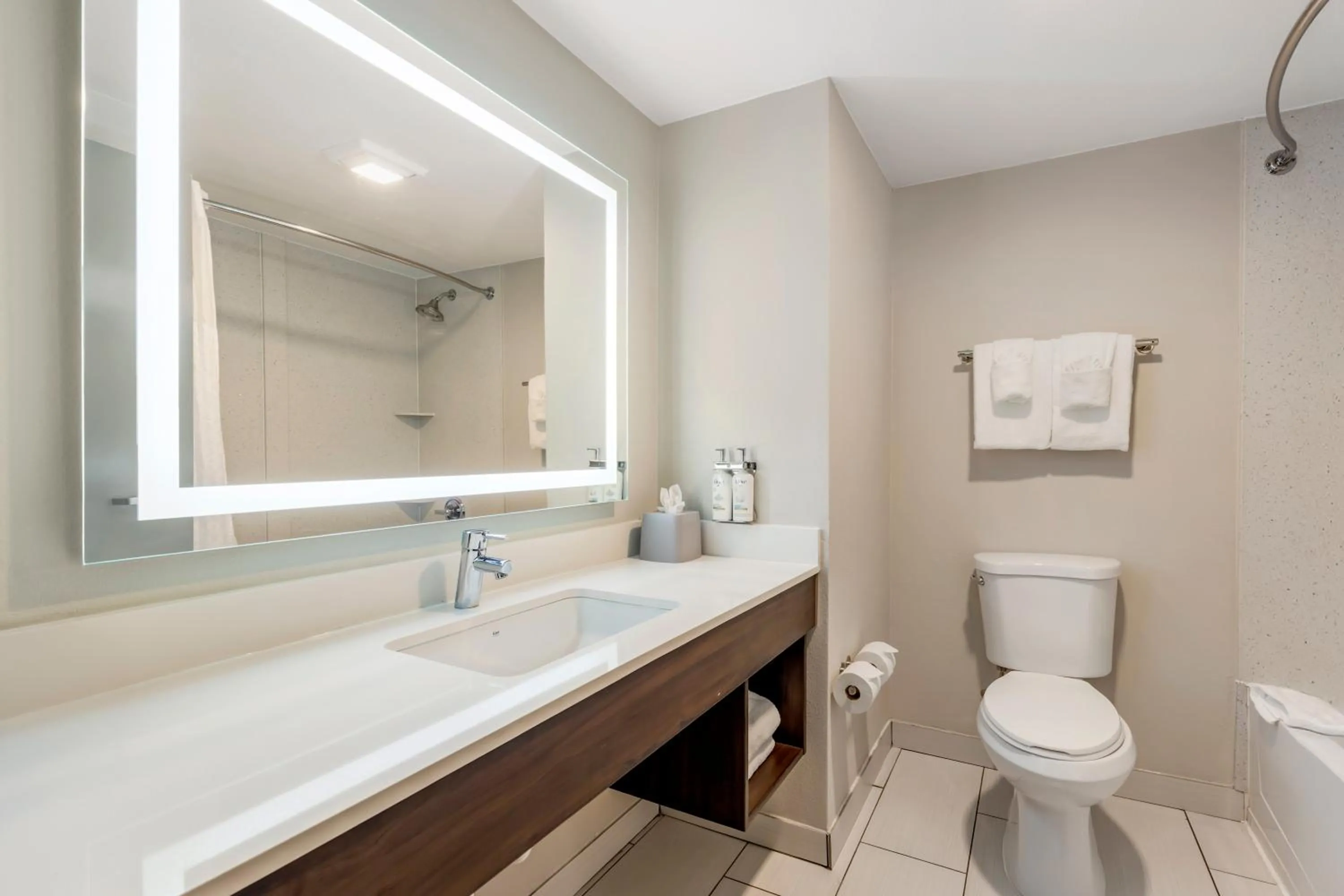 Holiday Inn Express & Suites Nashville Southeast - Antioch by IHG