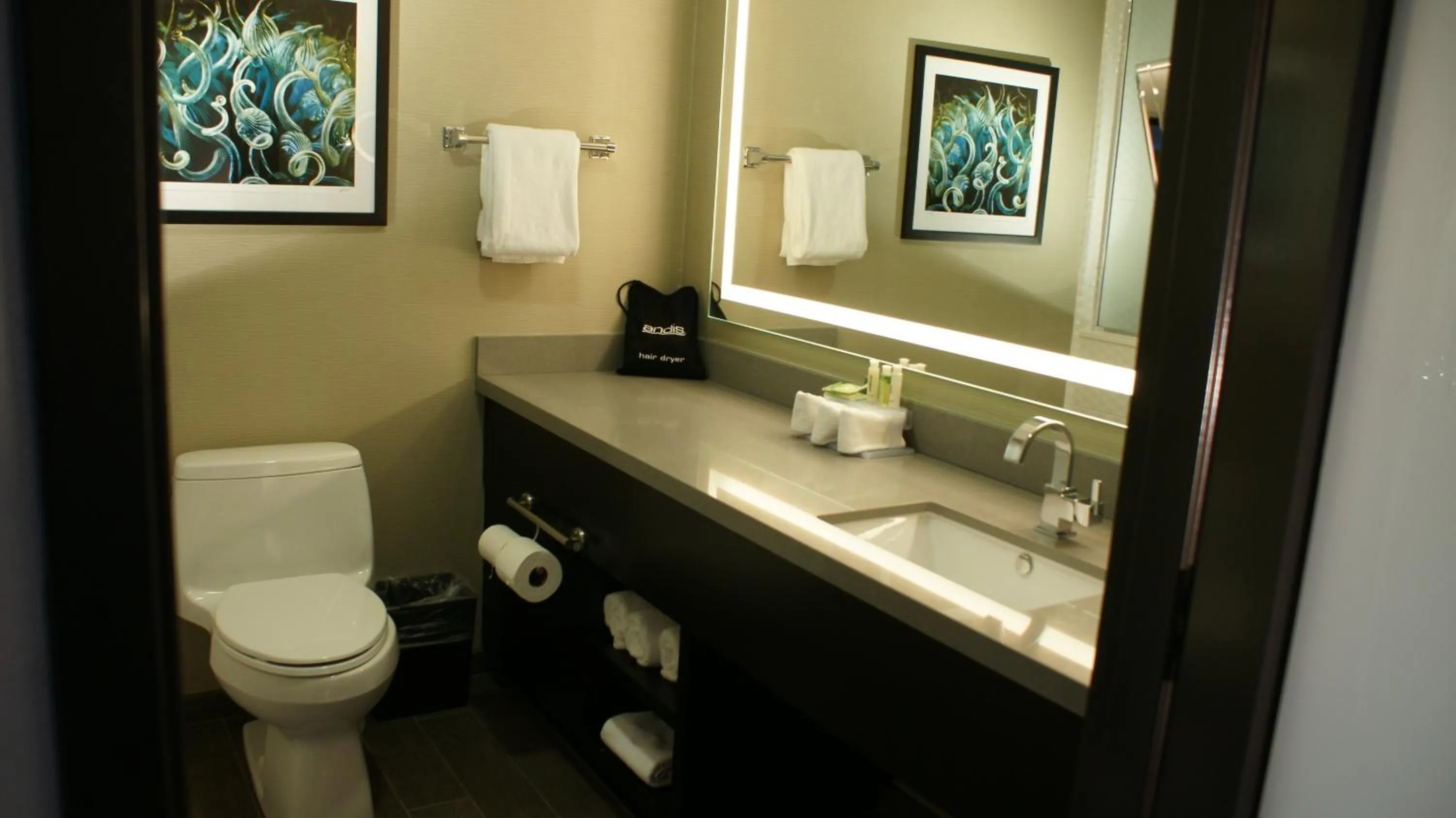 Bathroom in Holiday Inn Express Hollywood Walk of Fame by IHG