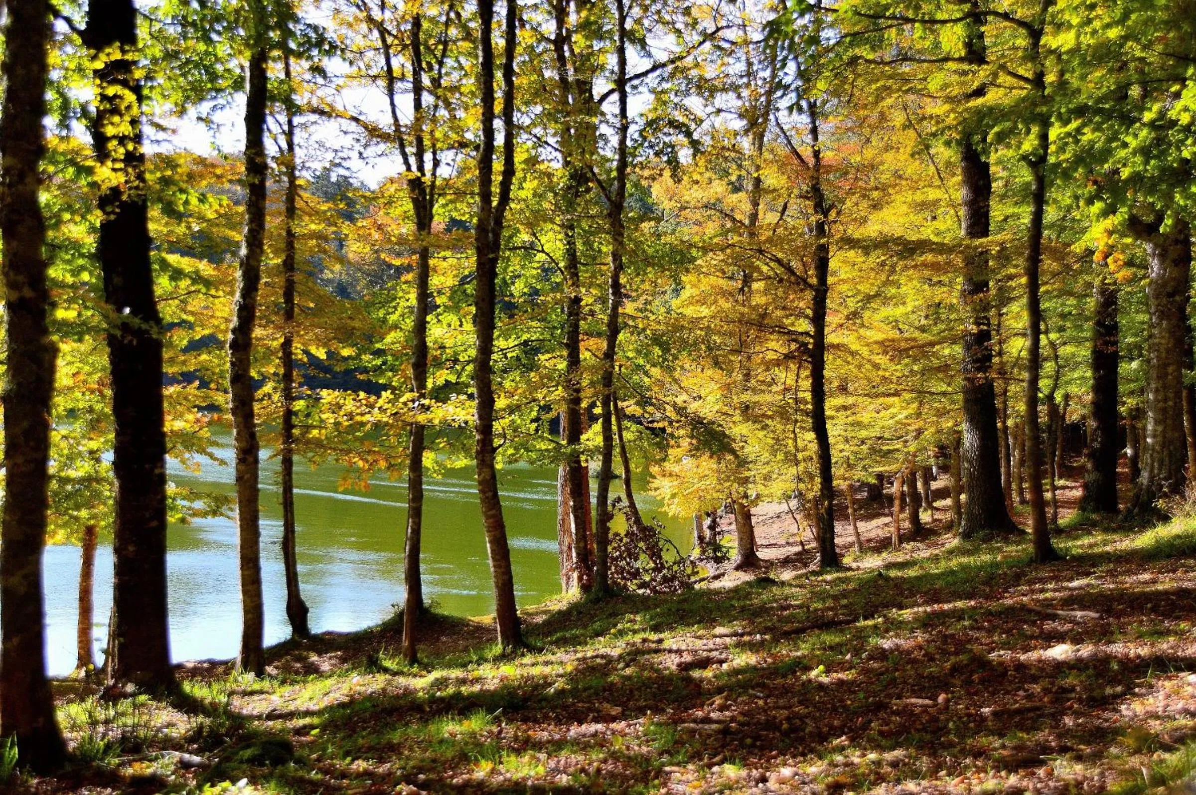Nearby landmark in GarganoMareBorghi ospitalità diffusa
