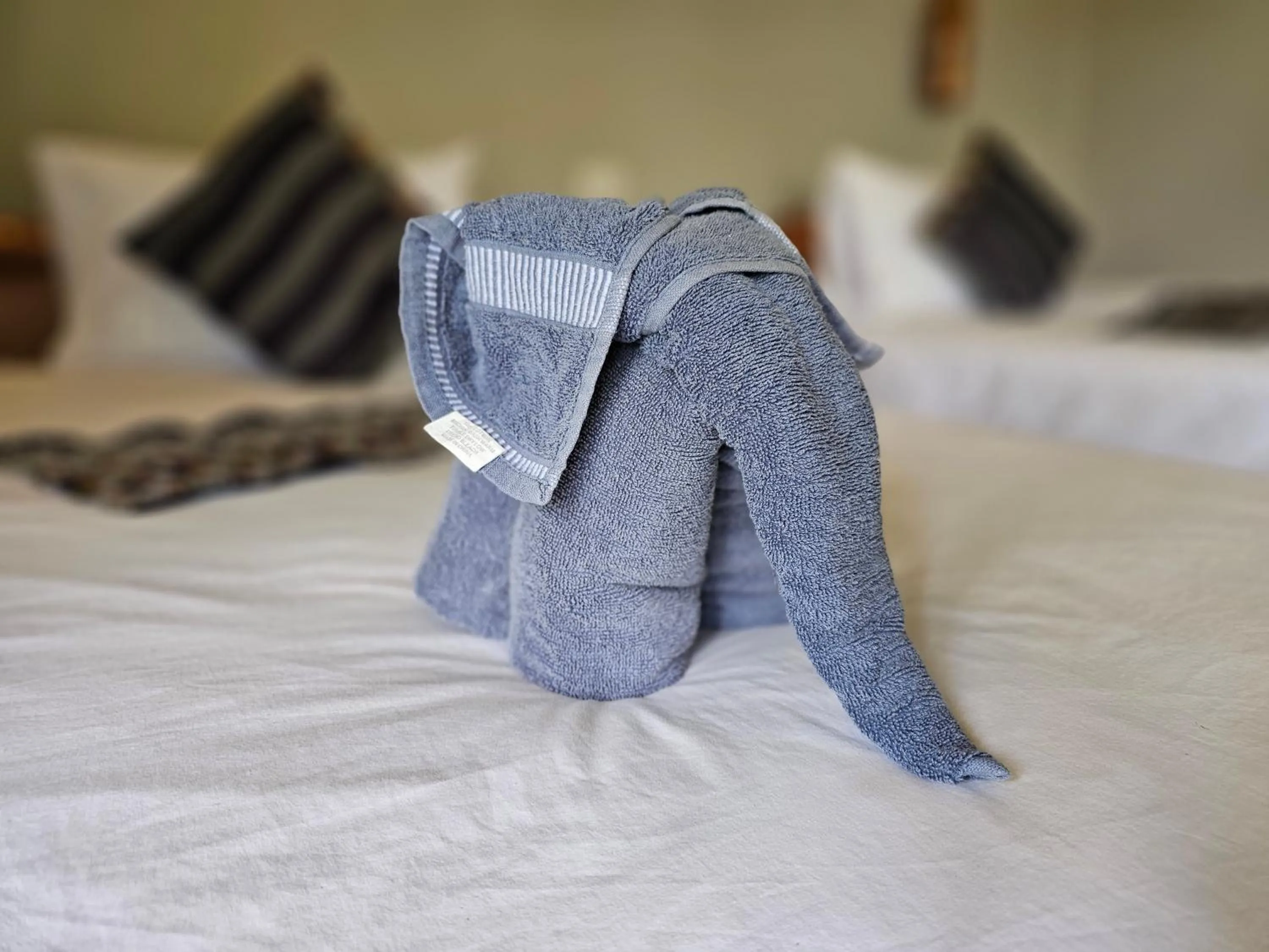 Bed in Bearlinbungalow